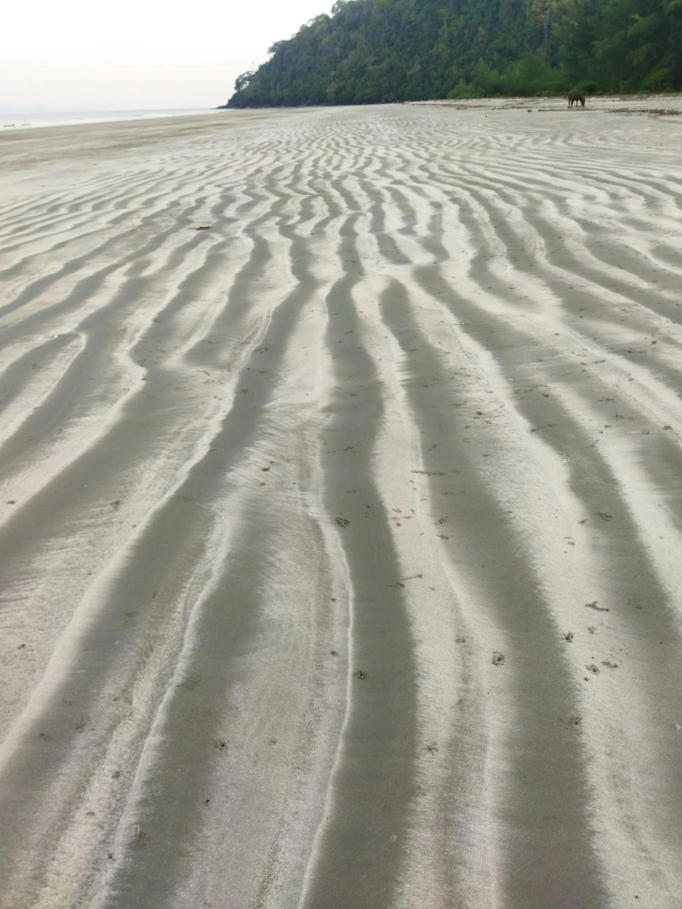 Andaman Peace Resort