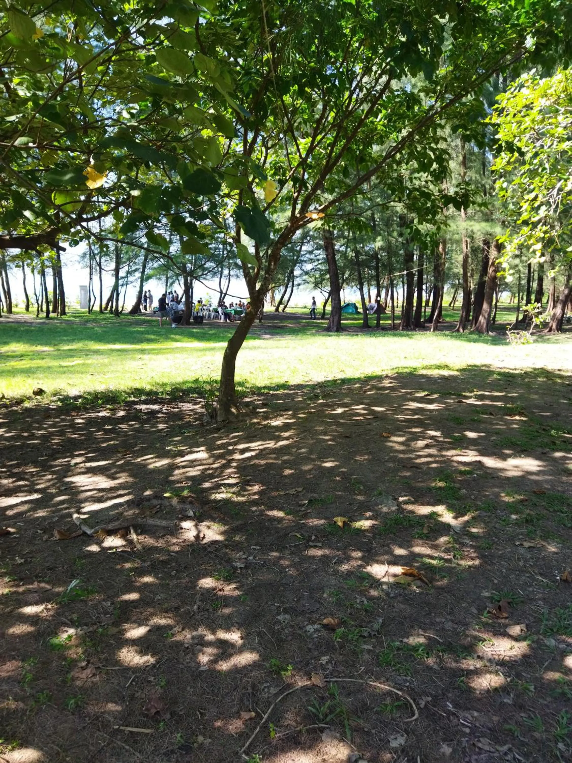 Natural landscape in Andaman Peace Resort