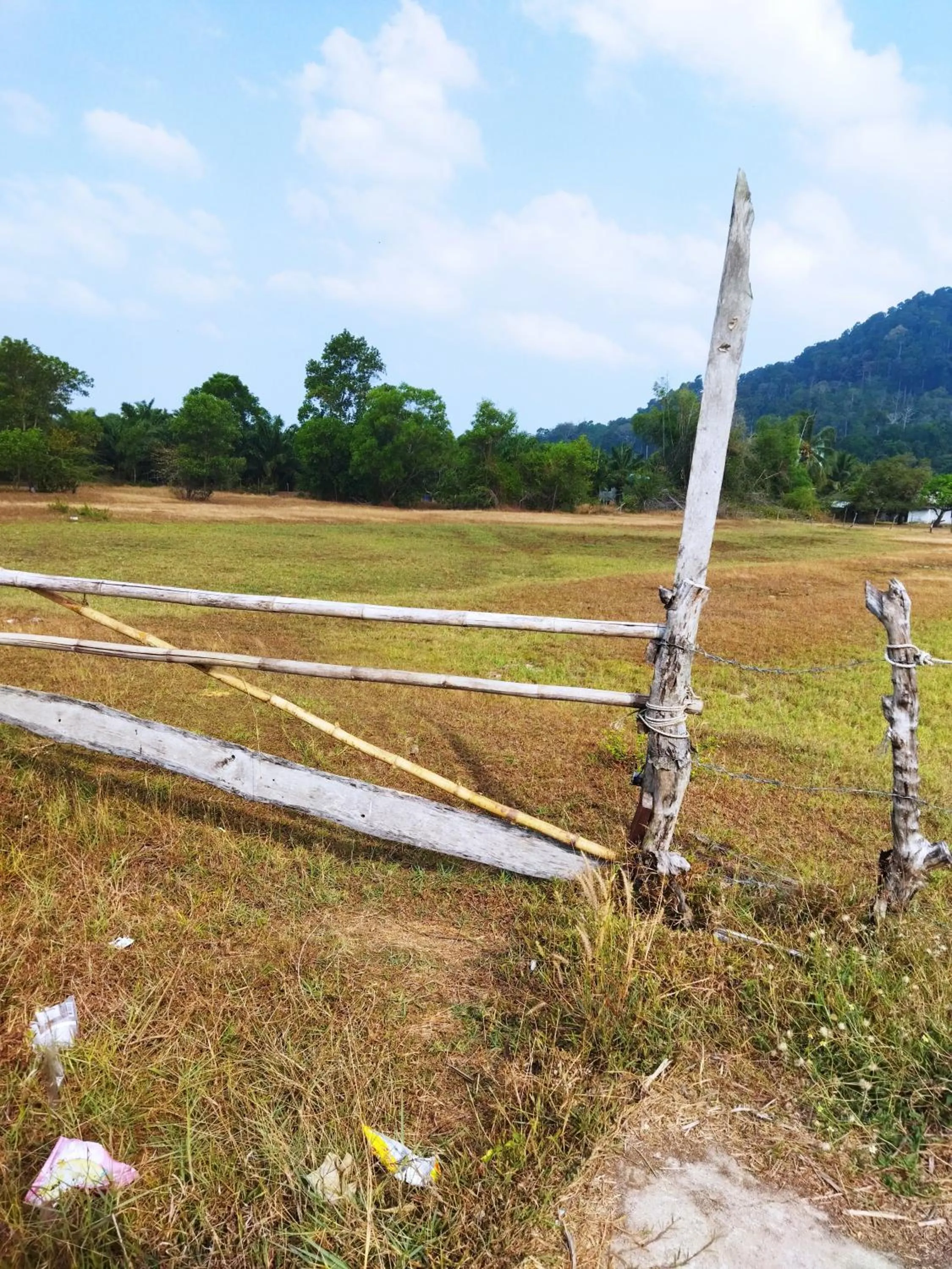 Natural landscape in Andaman Peace Resort