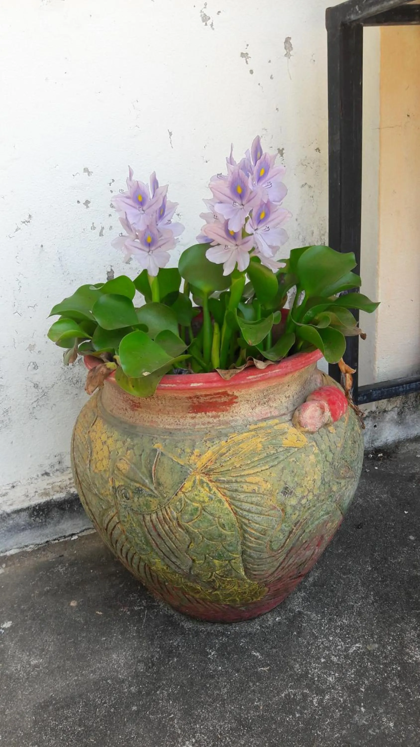 Andaman Peace Resort