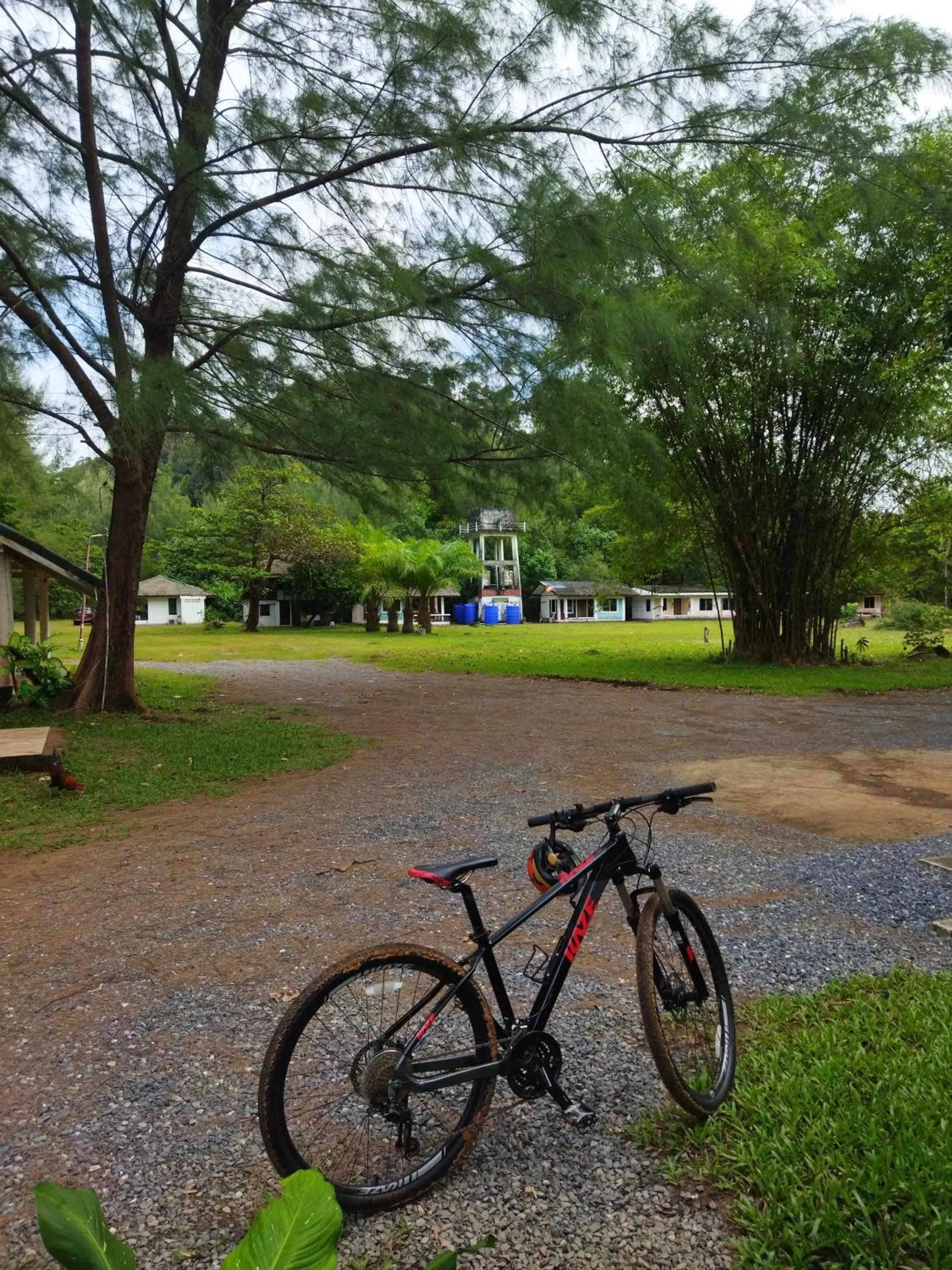 Natural landscape in Andaman Peace Resort