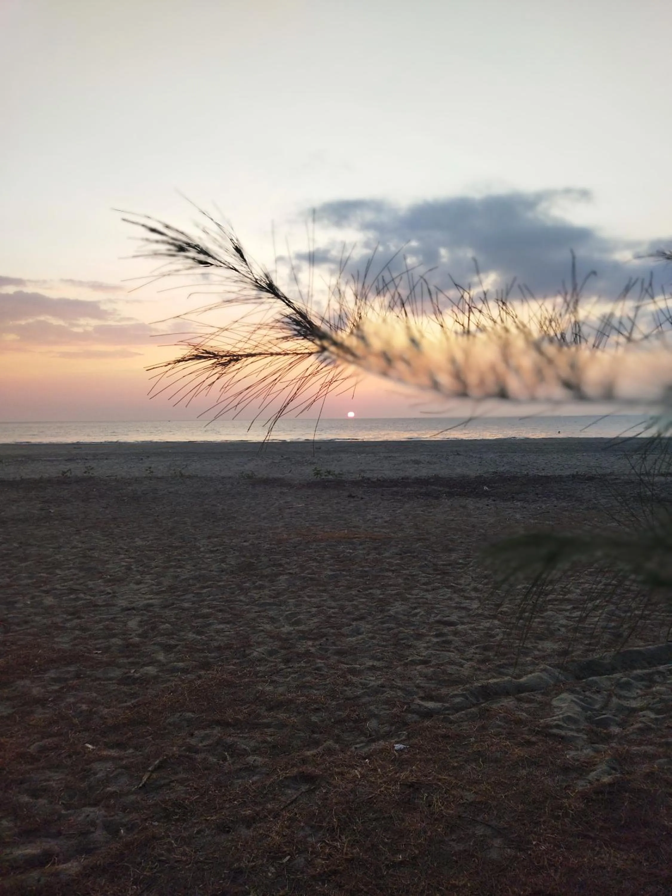 Natural landscape in Andaman Peace Resort