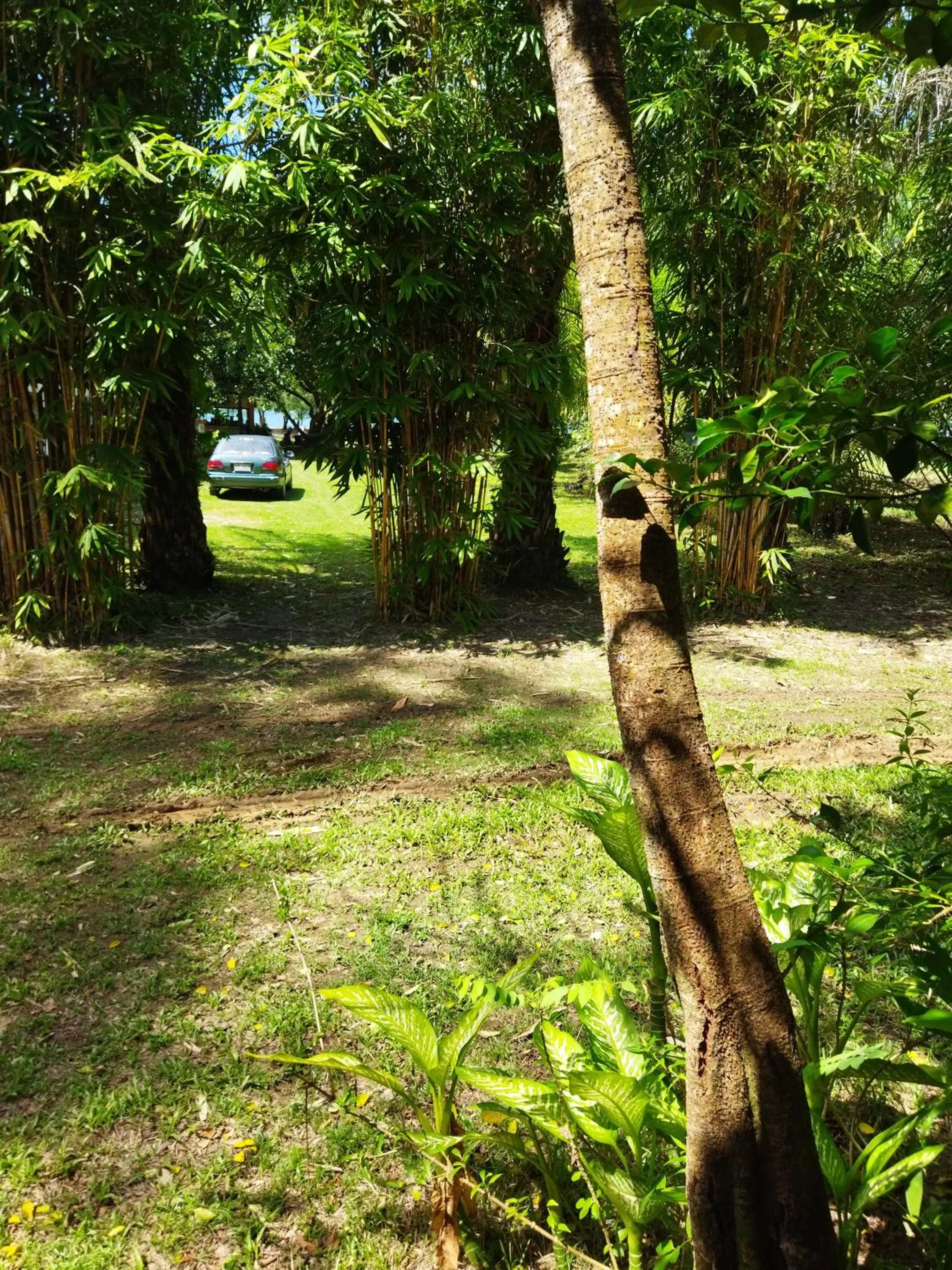 Garden view in Andaman Peace Resort