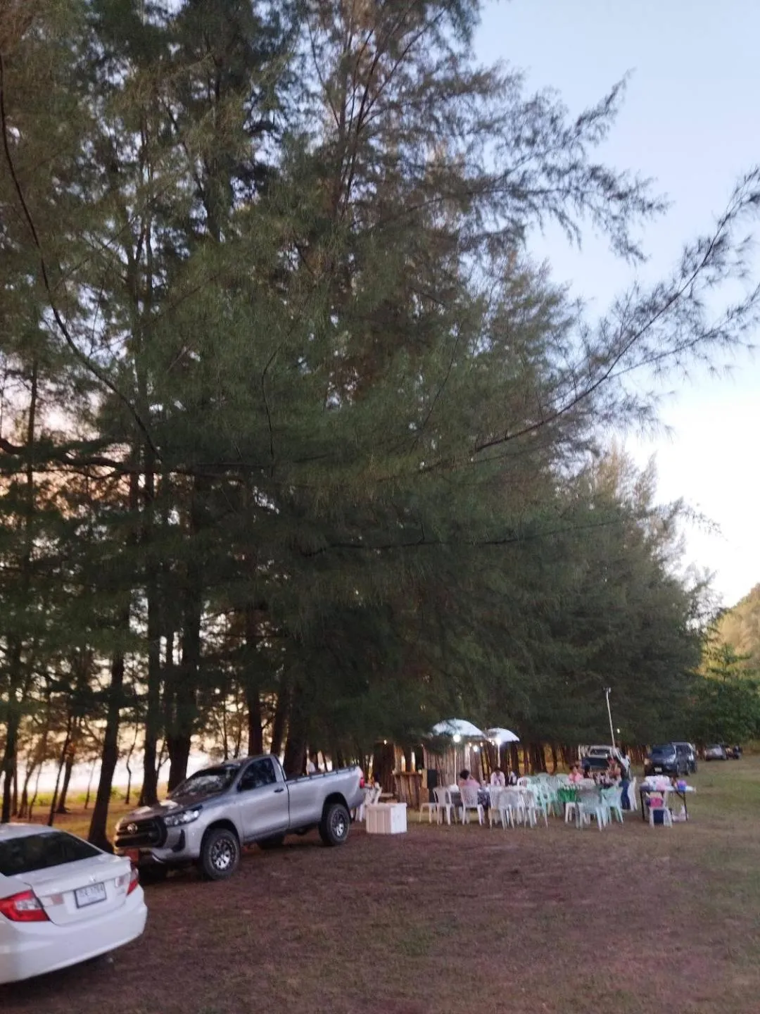 Natural landscape in Andaman Peace Resort