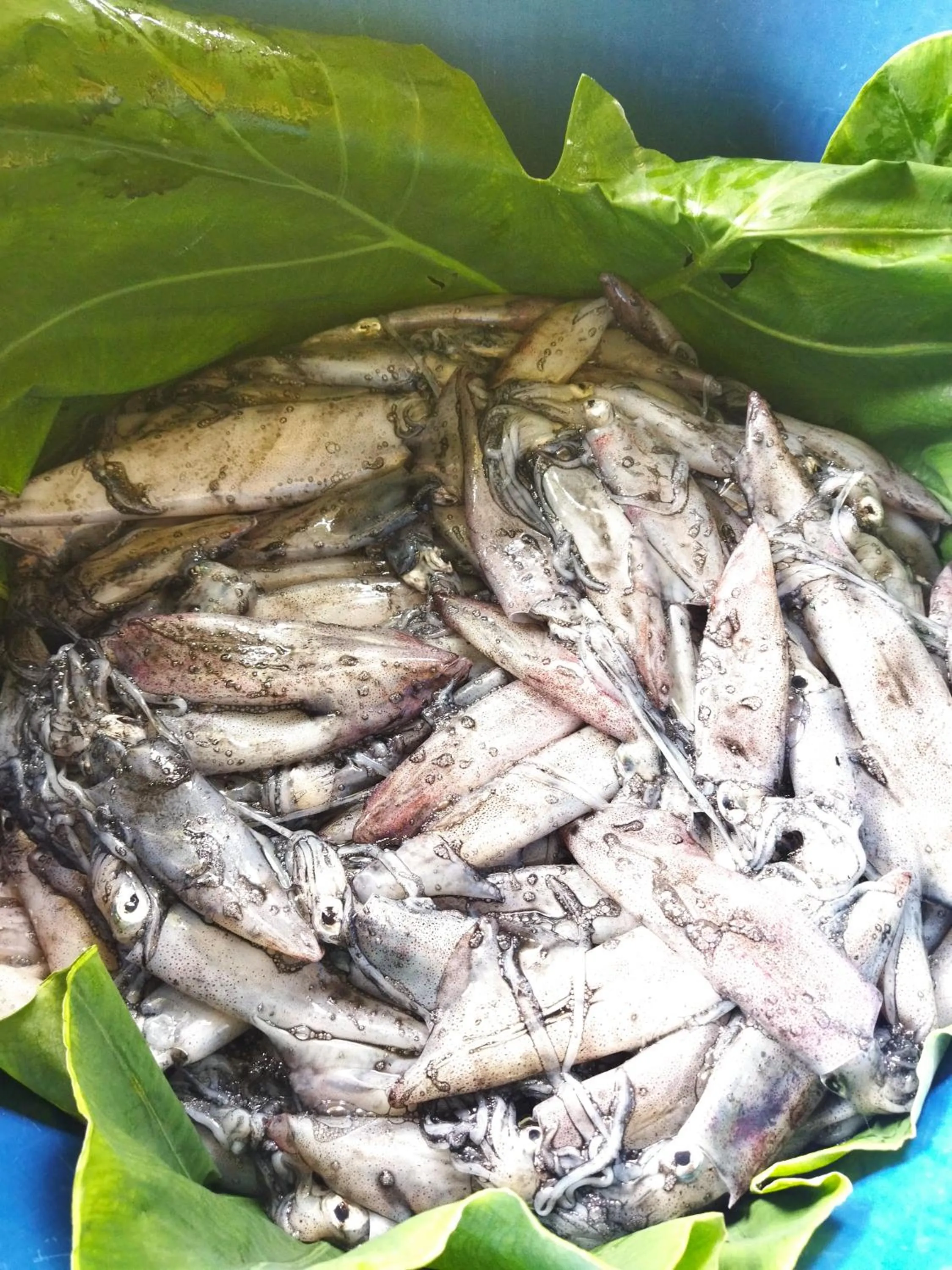 Andaman Peace Resort