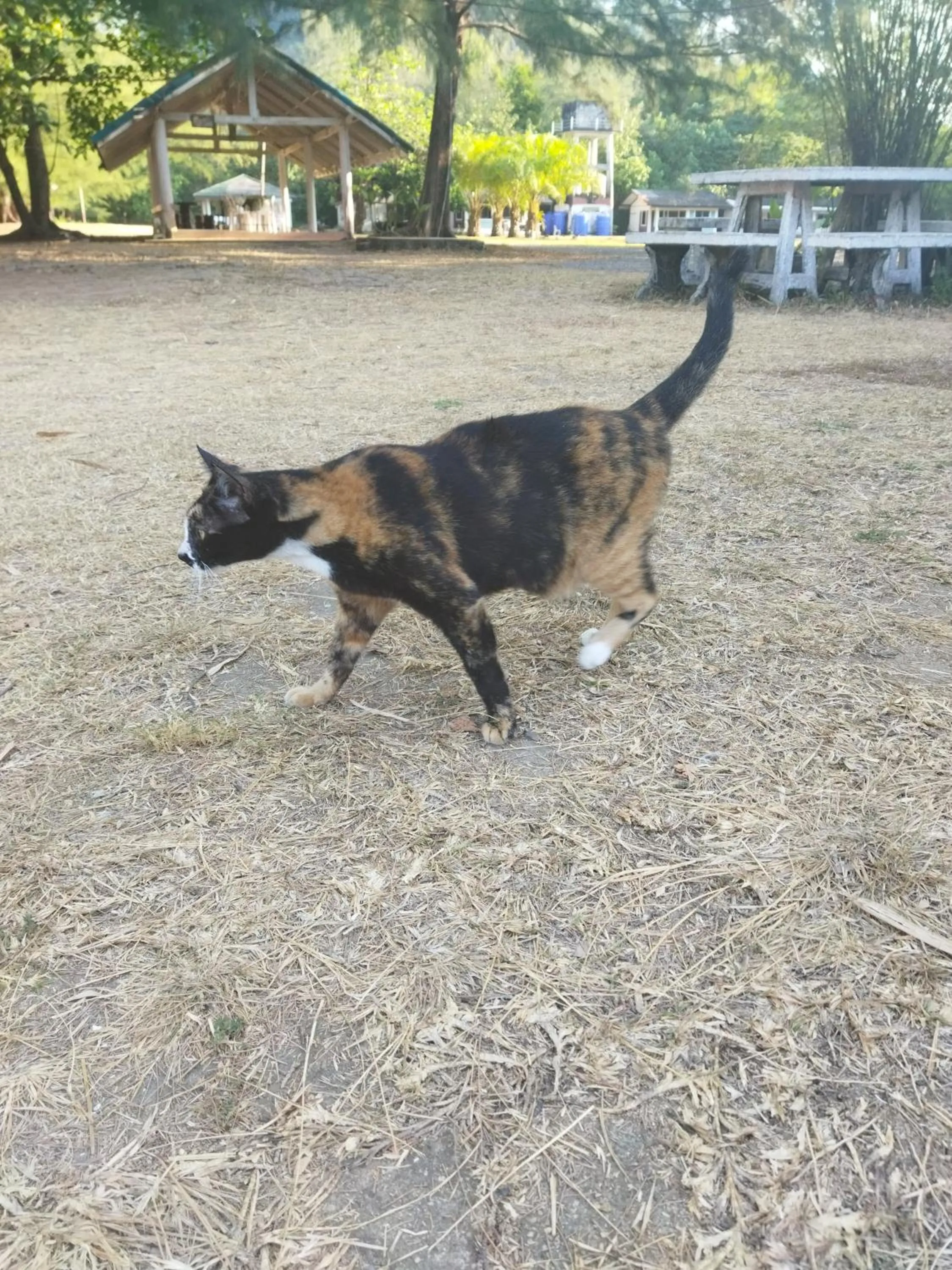 Andaman Peace Resort