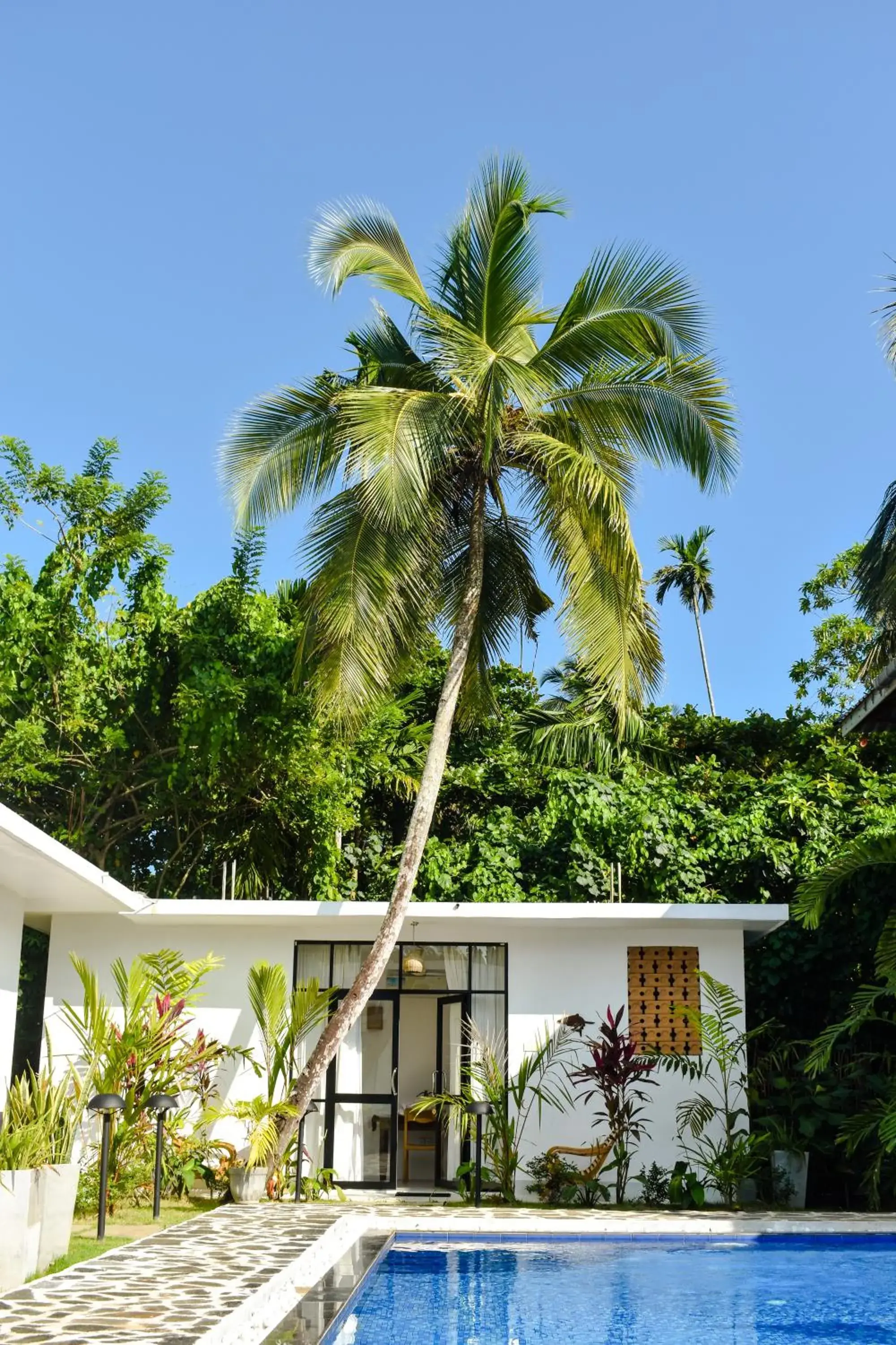 Deluxe Double Room in Venus Villa Deluxe Double Room in Venus Villa