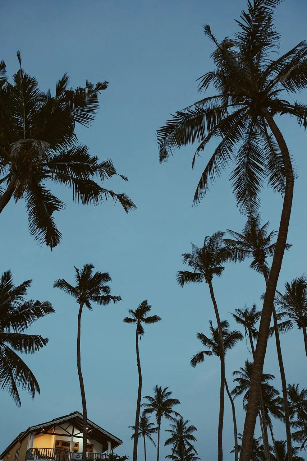 Beach in Venus Villa