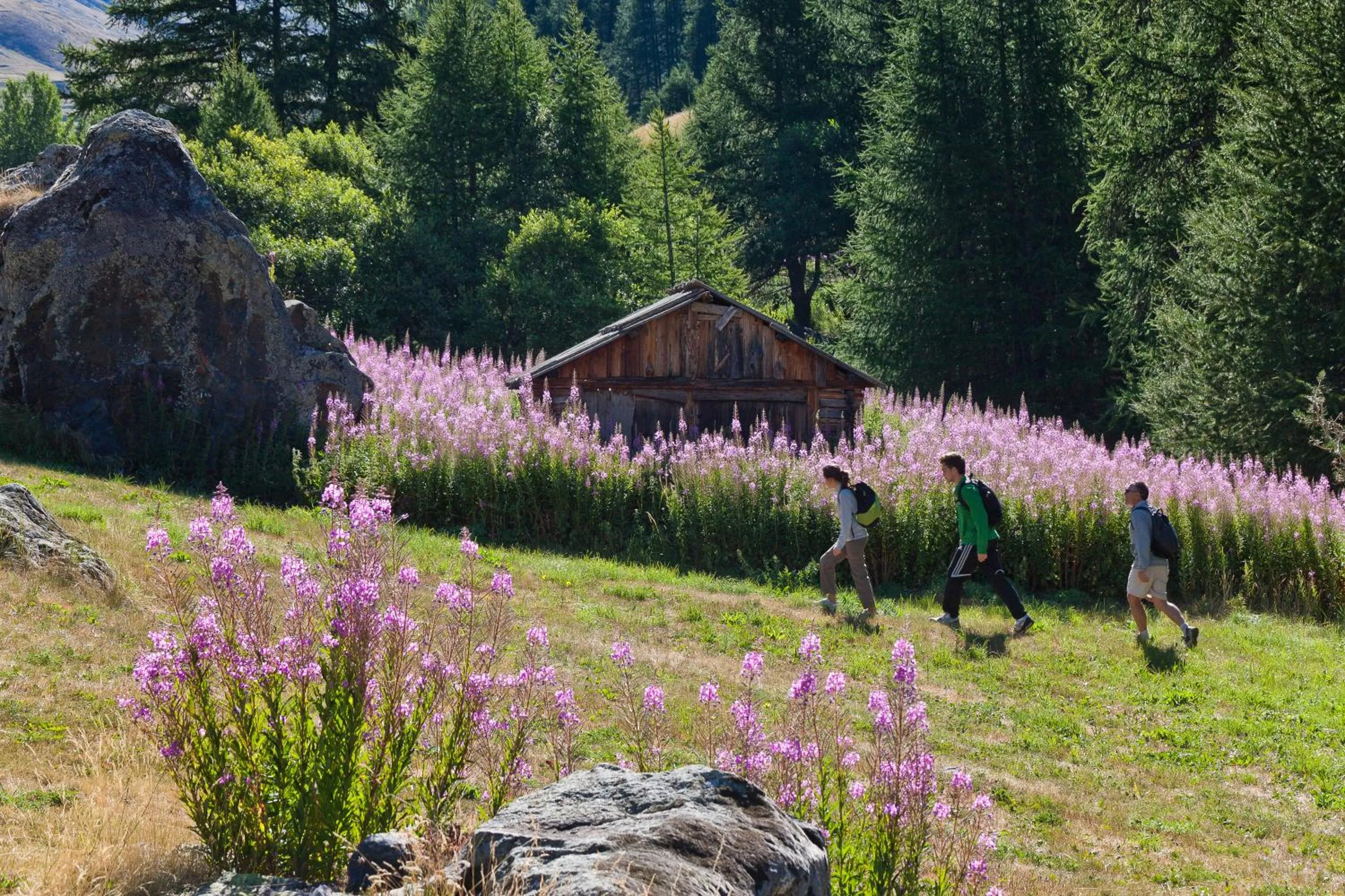 Hiking in Chalet Carpe Diem