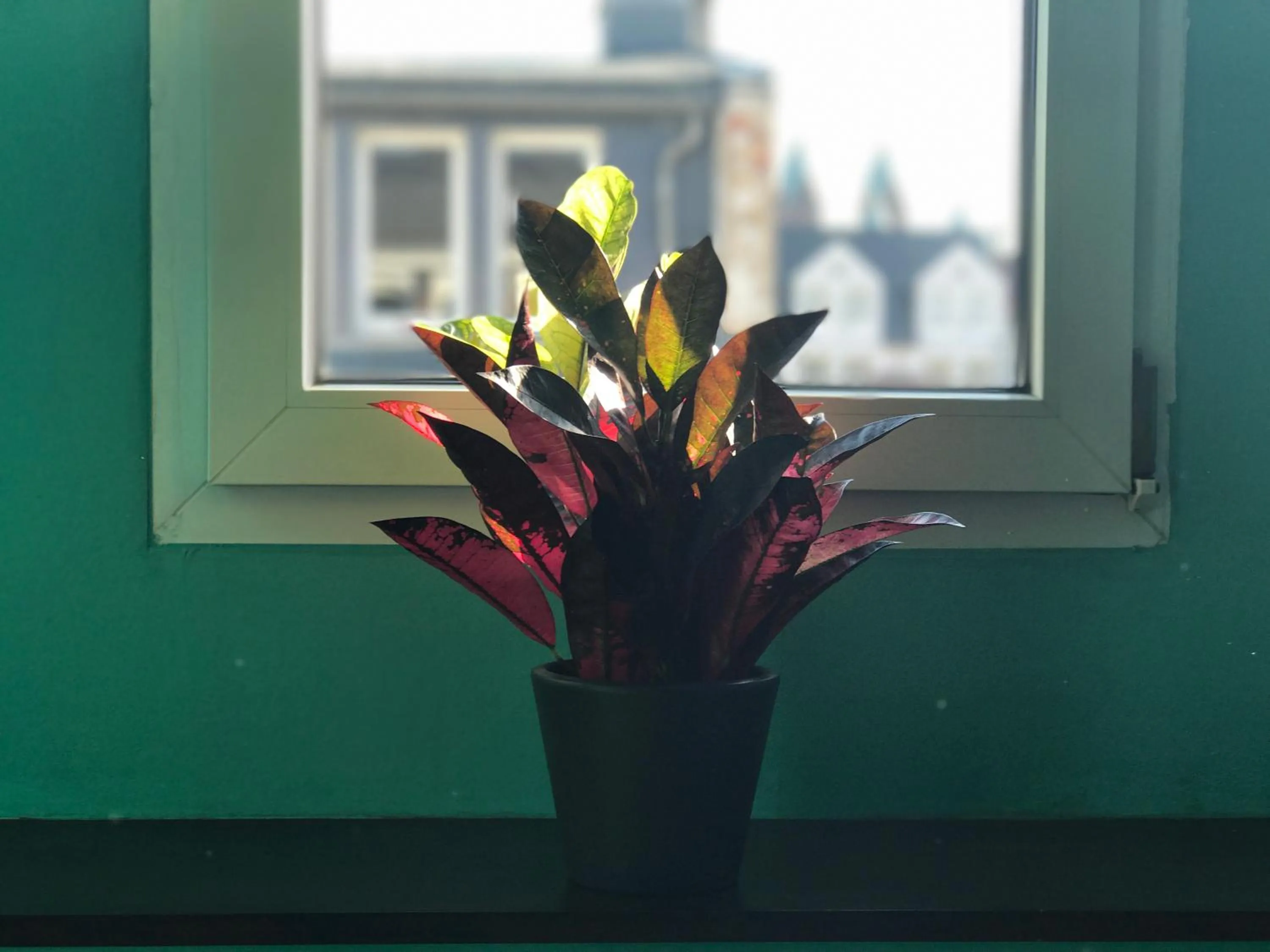 City view in SmartHotel Mystique Self check-in