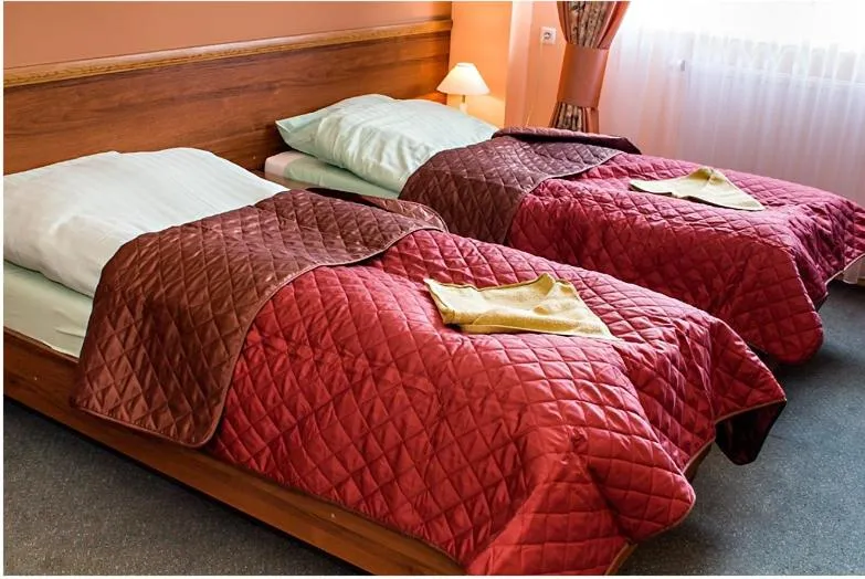 Bed in Hotel Sudety