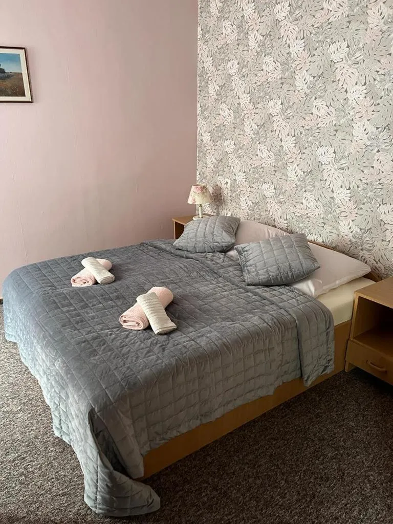 Bed in Hotel Sudety