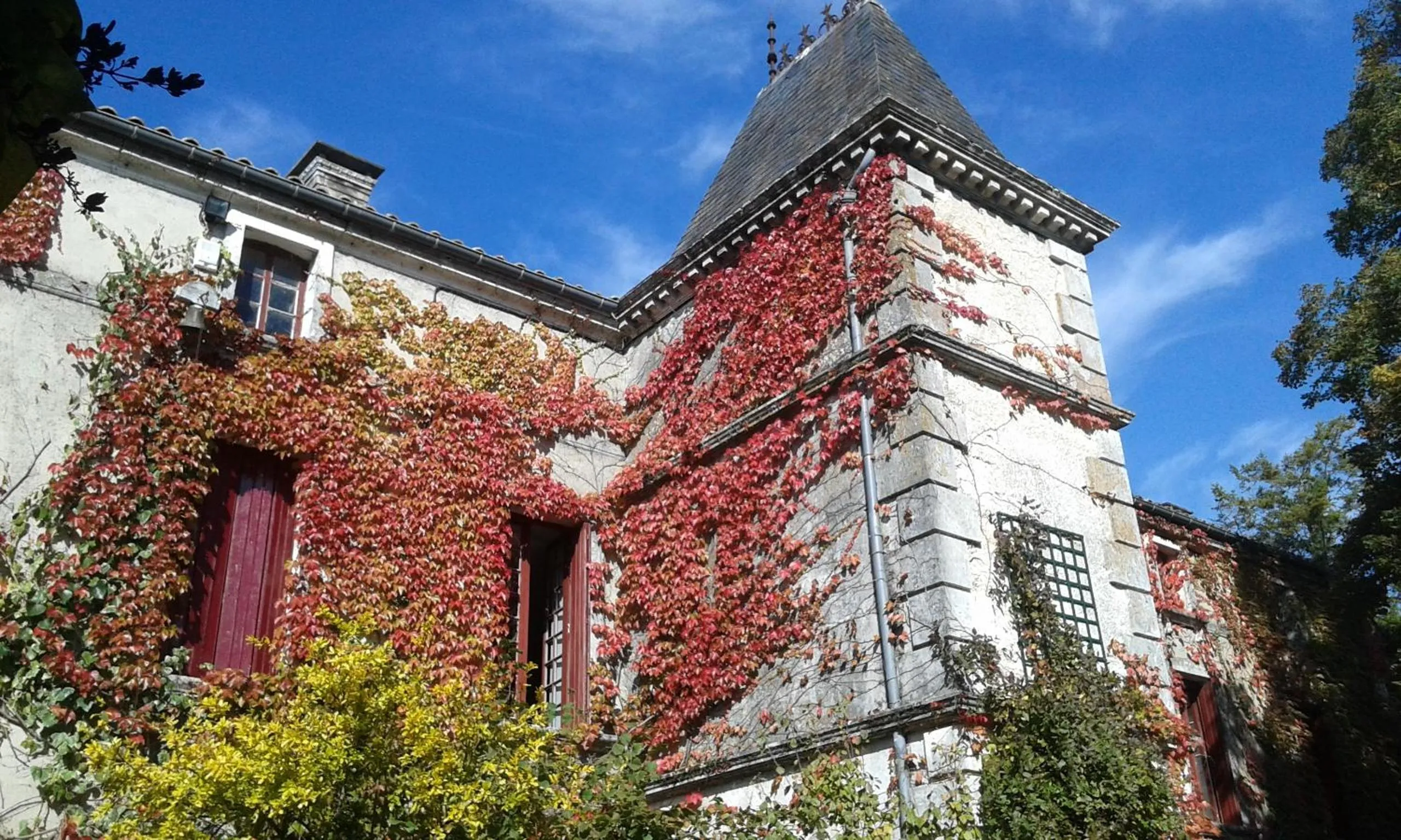 Decorative detail in La Cure du Maine Charles