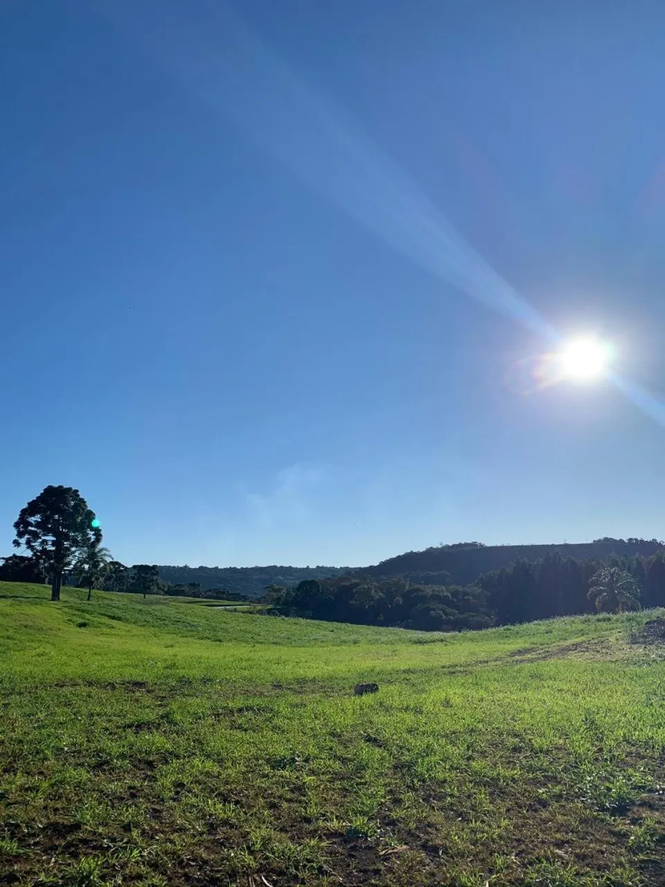 Garden view in Hope Valley Adventure Resort