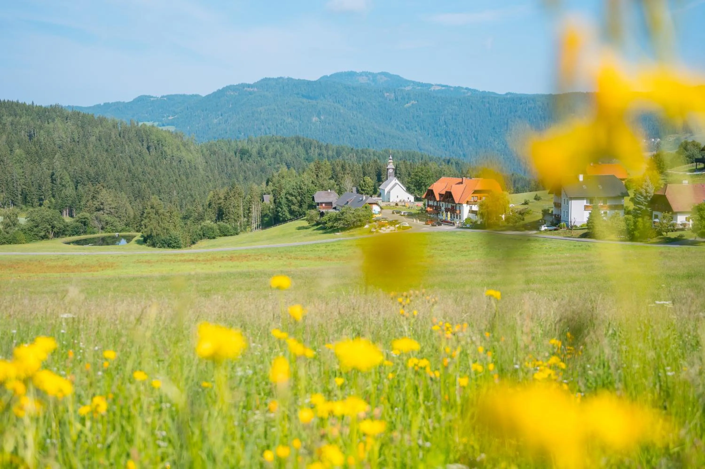 Area and facilities in Alpengasthof Moser