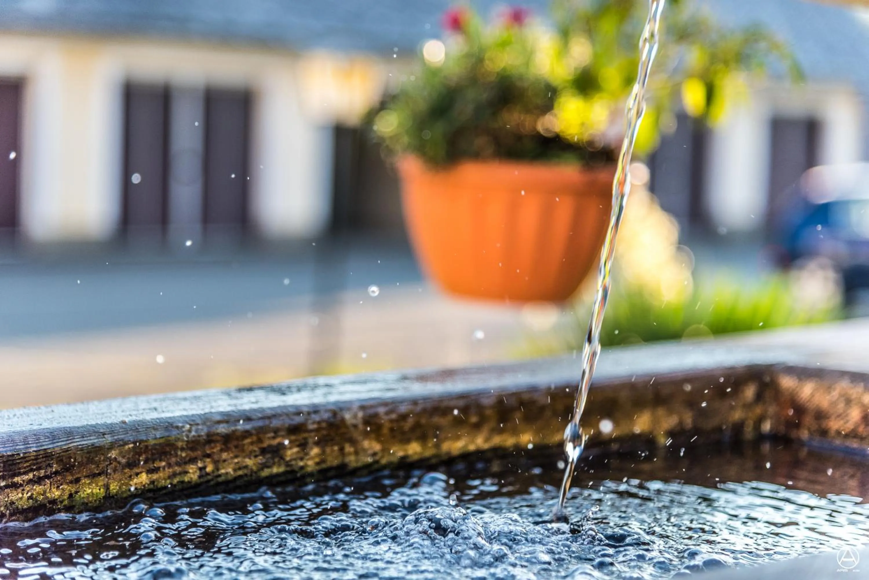 Natural landscape in Alpengasthof Moser