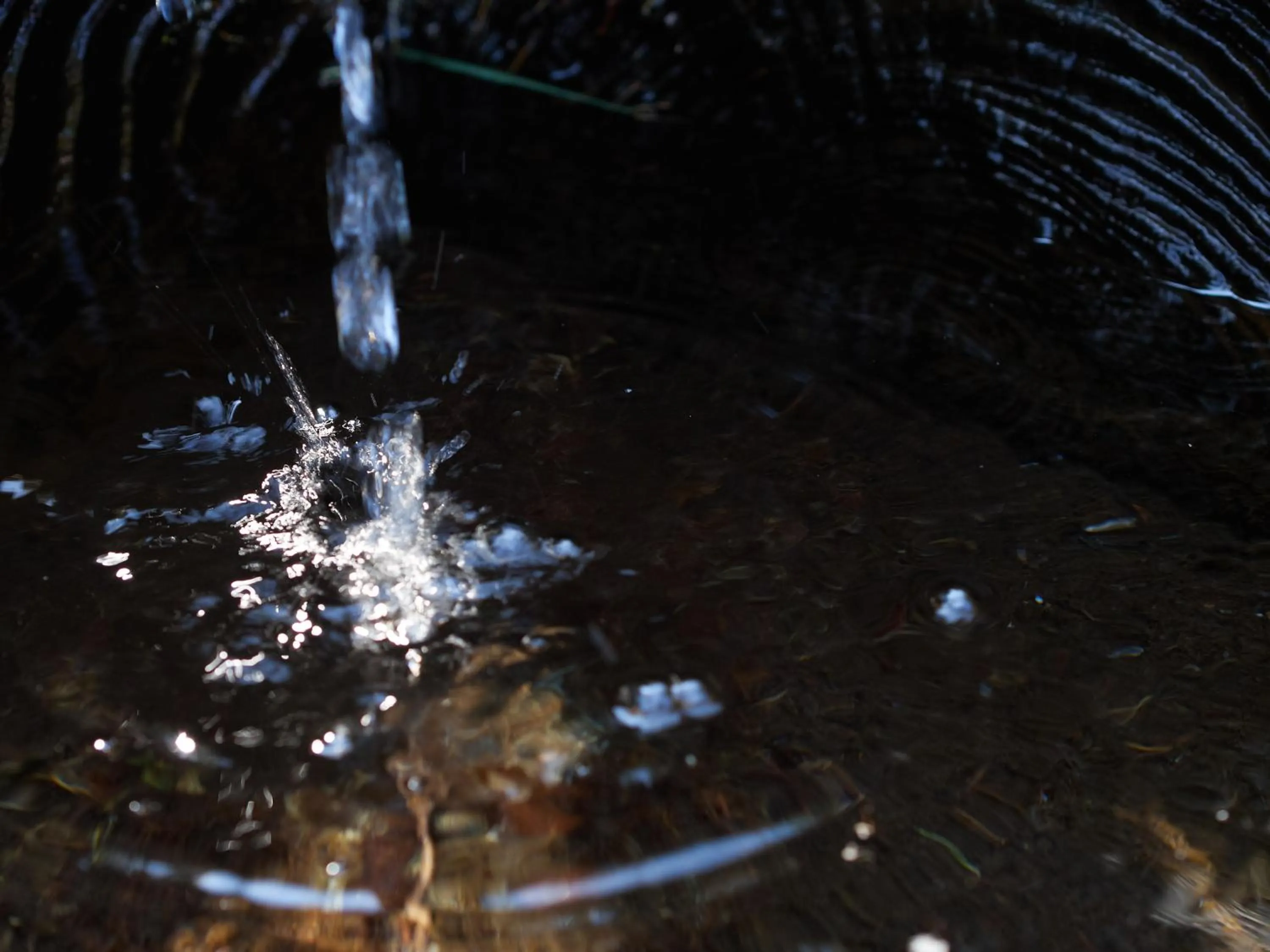Hiking in Alpengasthof Moser
