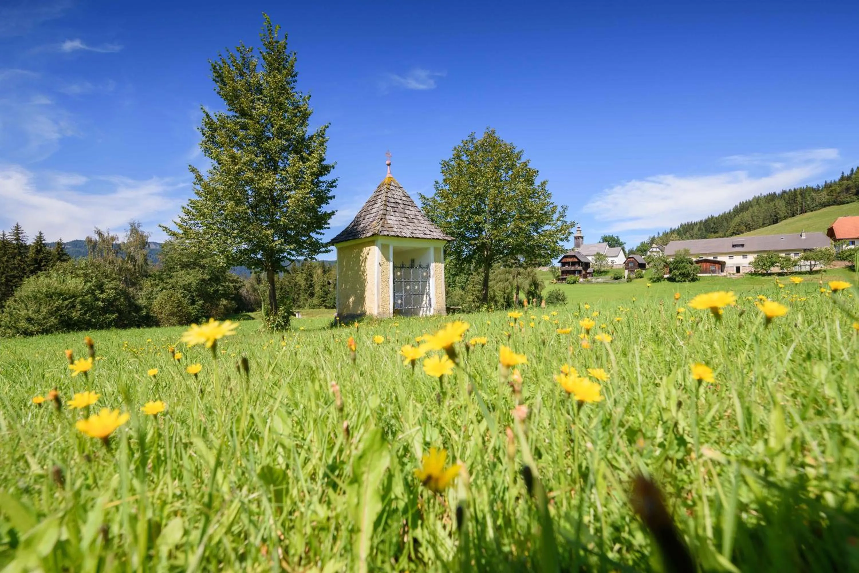 Natural landscape in Alpengasthof Moser