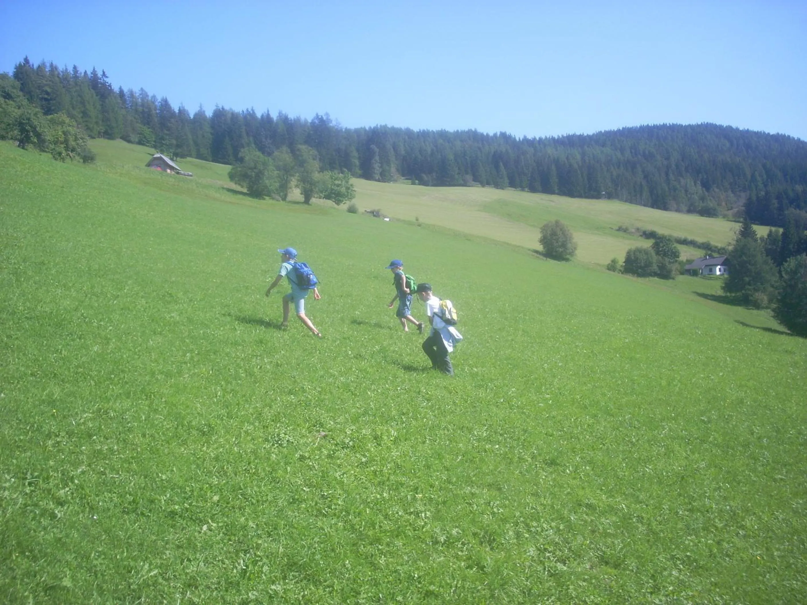 Hiking in Alpengasthof Moser