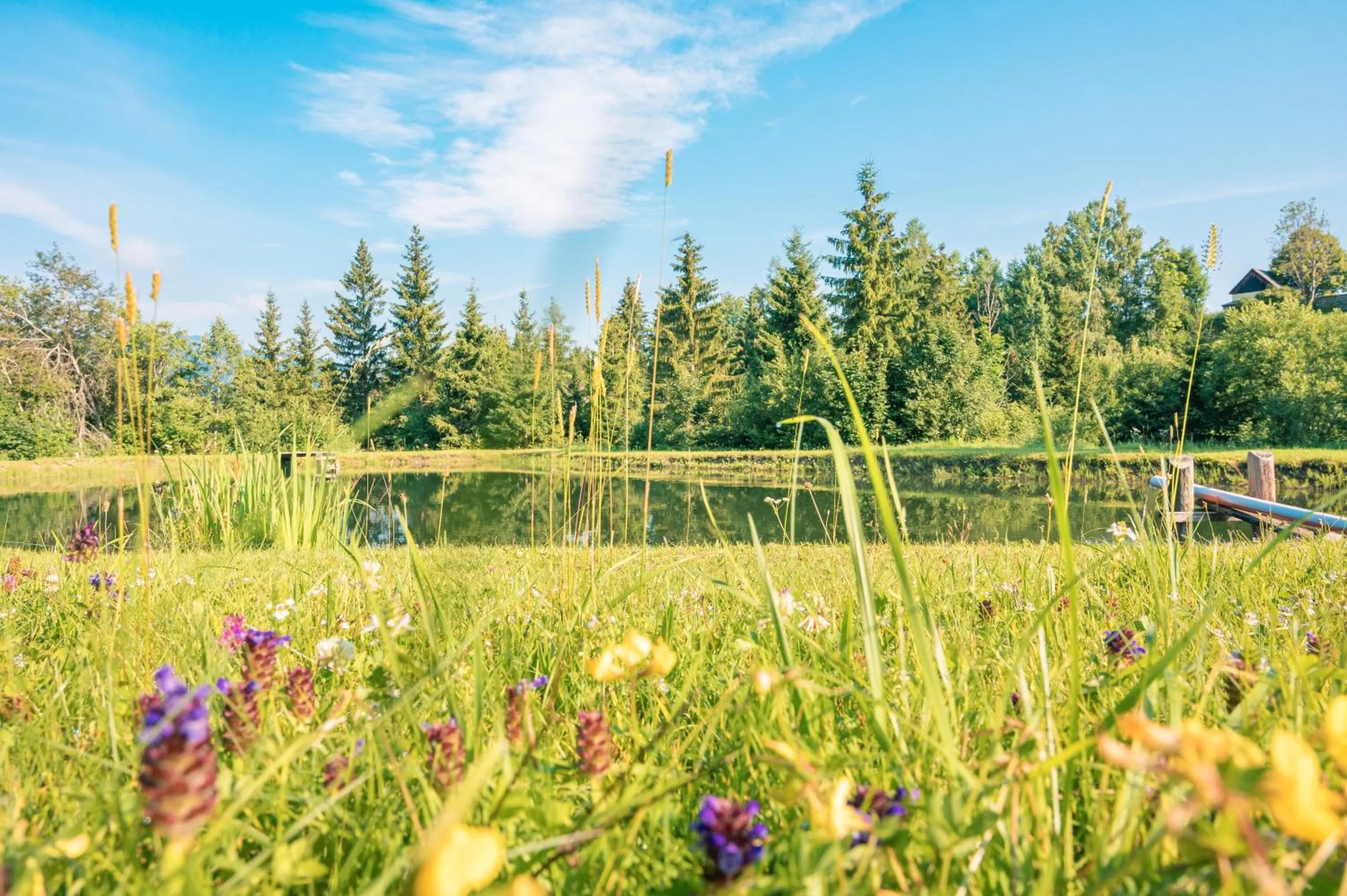 Staff in Alpengasthof Moser