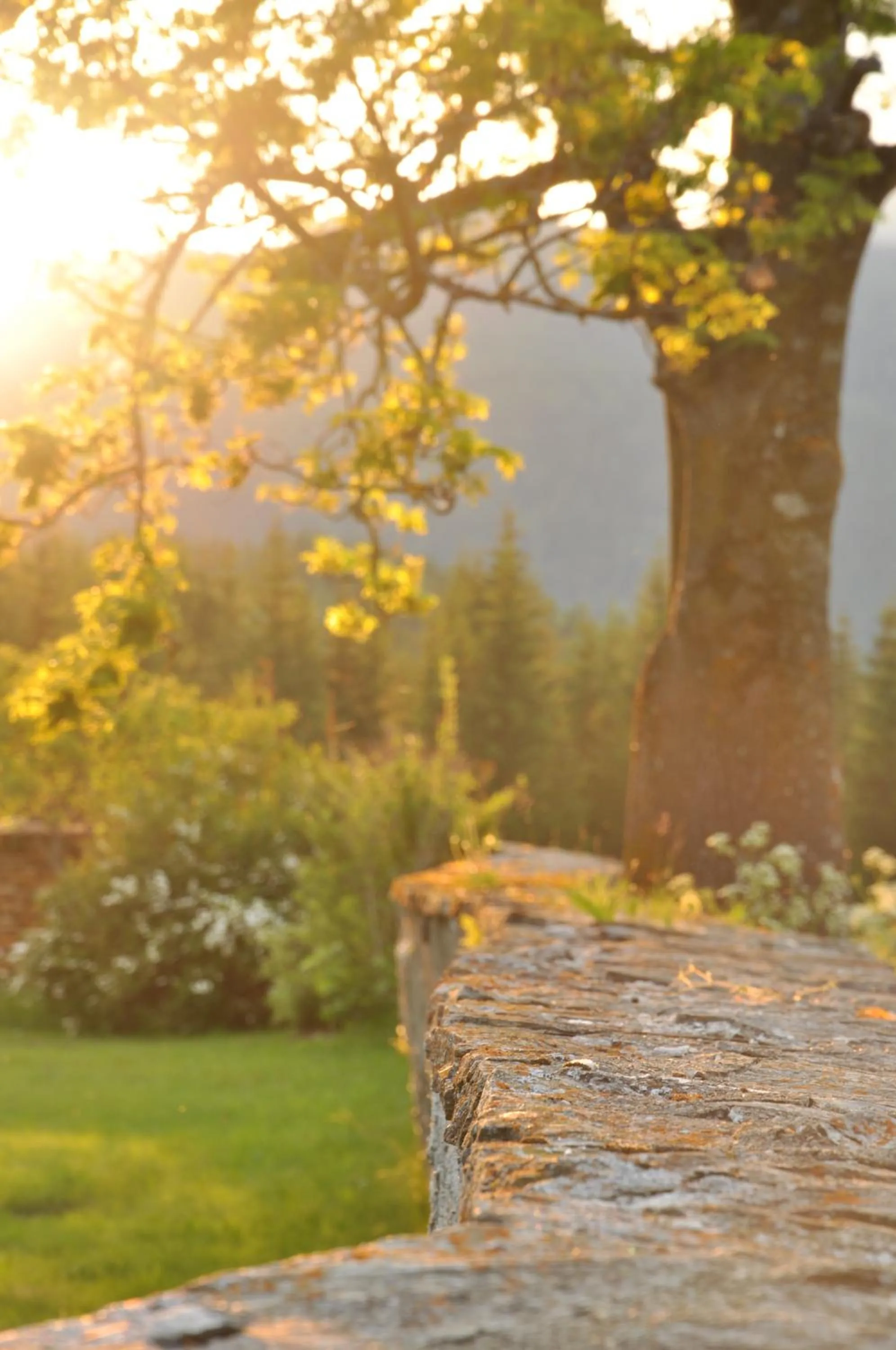 Natural landscape in Alpengasthof Moser