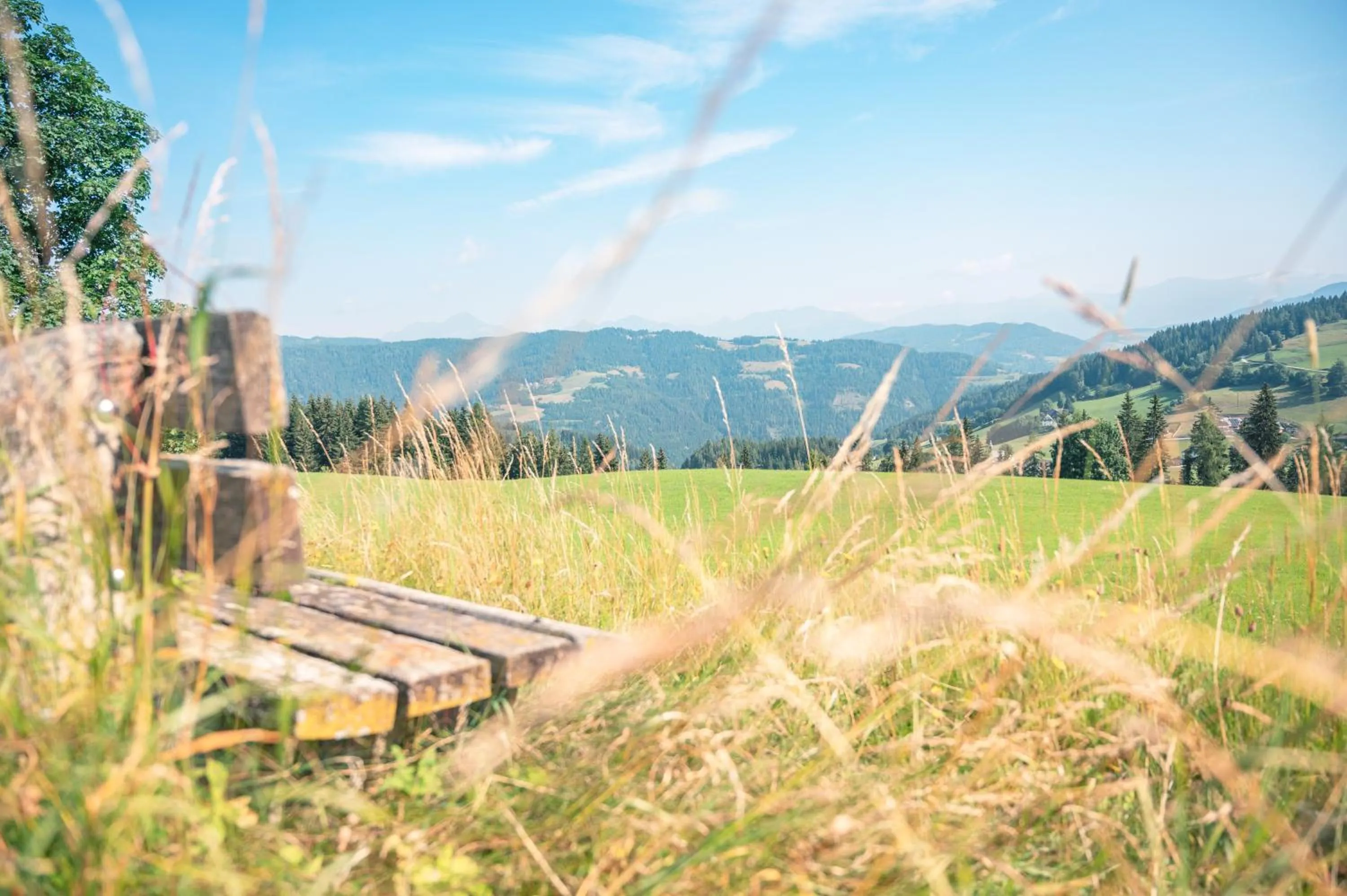 Off site in Alpengasthof Moser