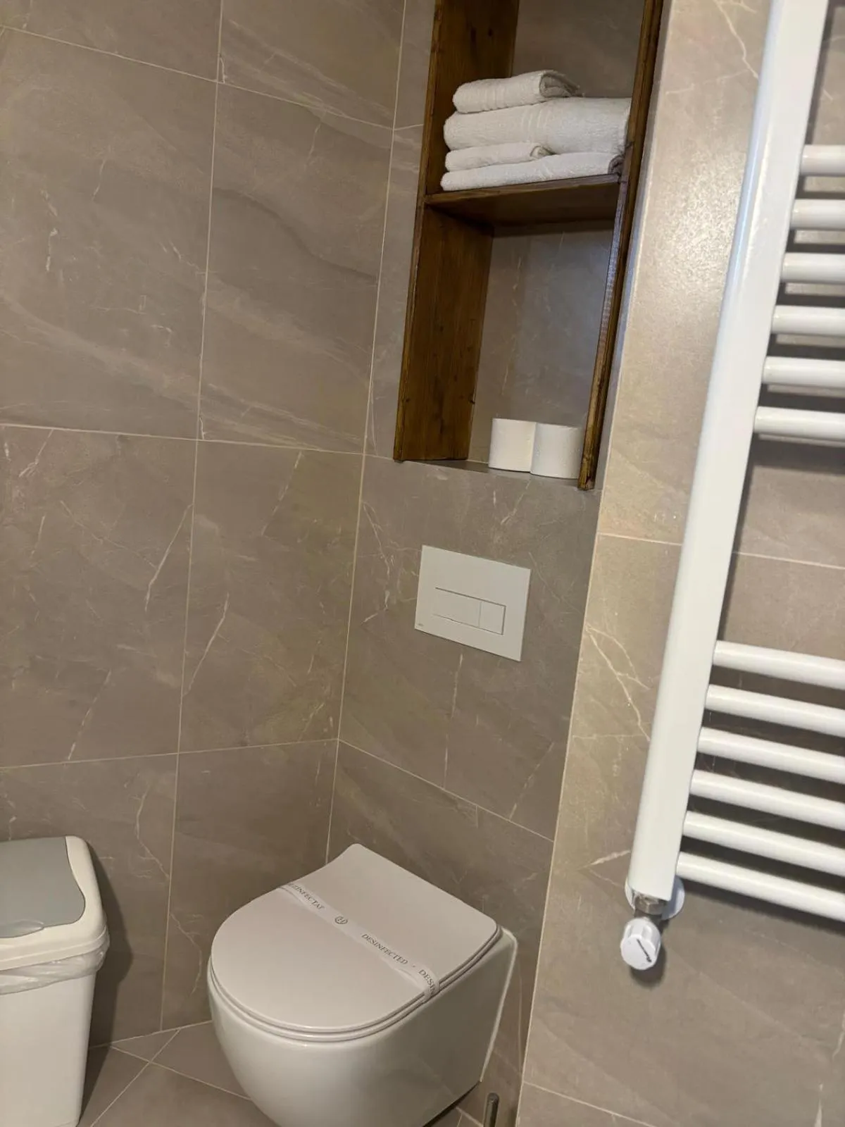 Toilet in Pensiunea Warthe Bed & Breakfast