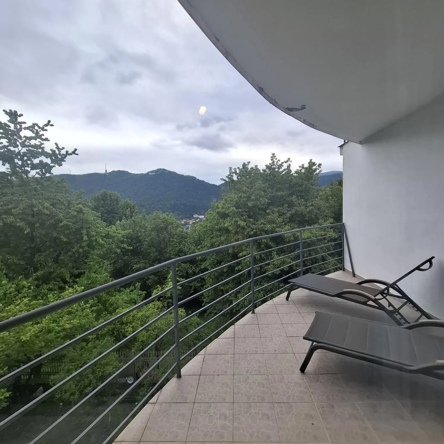 Natural landscape in Pensiunea Warthe Bed & Breakfast