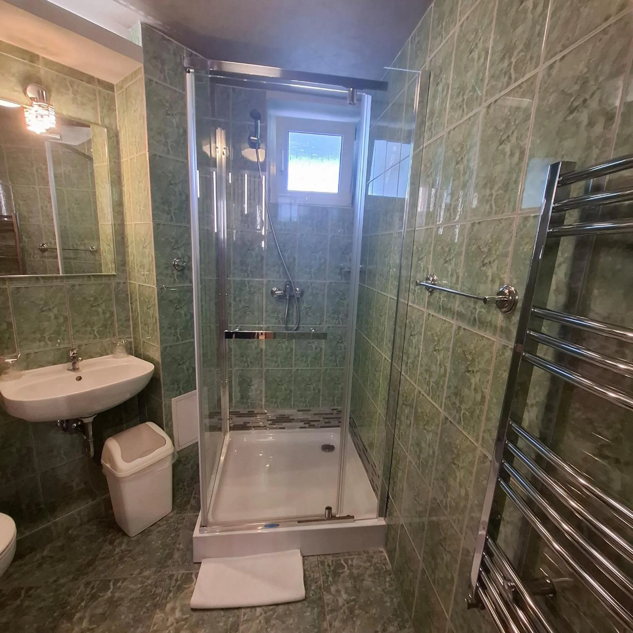 Shower in Pensiunea Warthe Bed & Breakfast