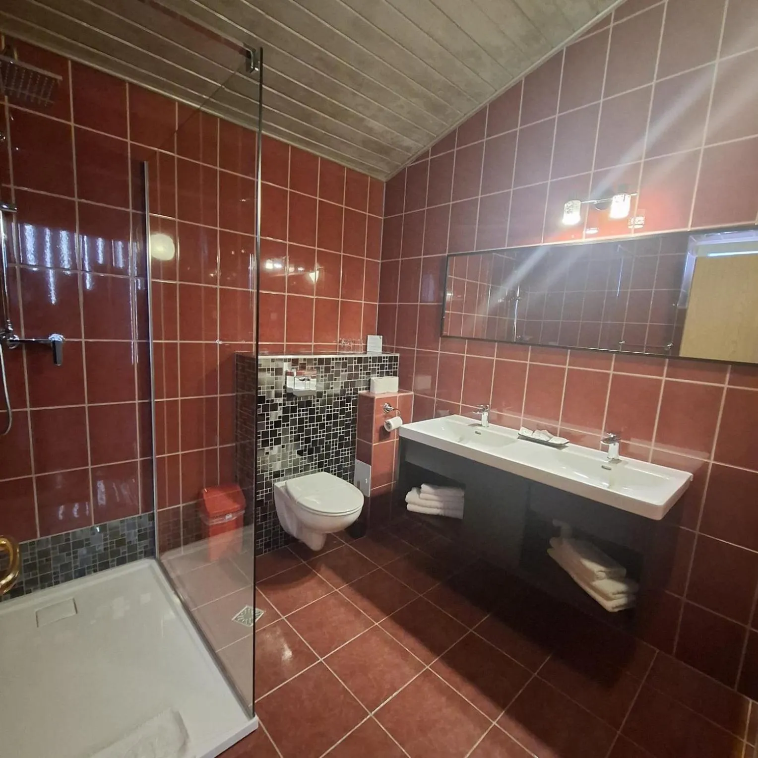 Bathroom in Pensiunea Warthe Bed & Breakfast