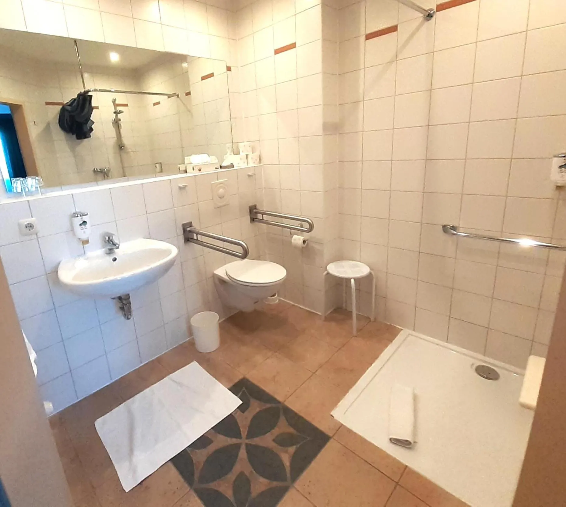 Shower in Land-gut-Hotel Zum alten Forsthaus - Aufladestation für Elektroautos