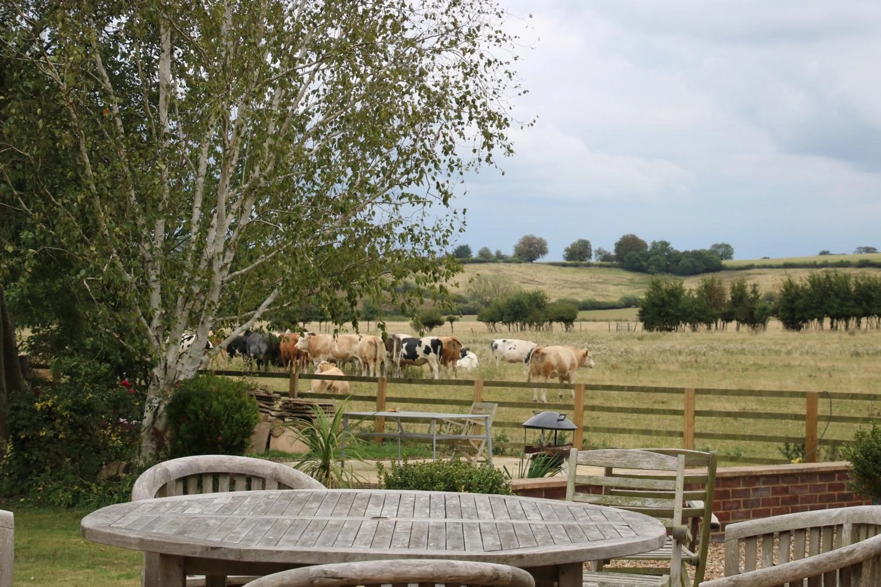Garden view in The Stables B&B @ Pear Tree Cottage