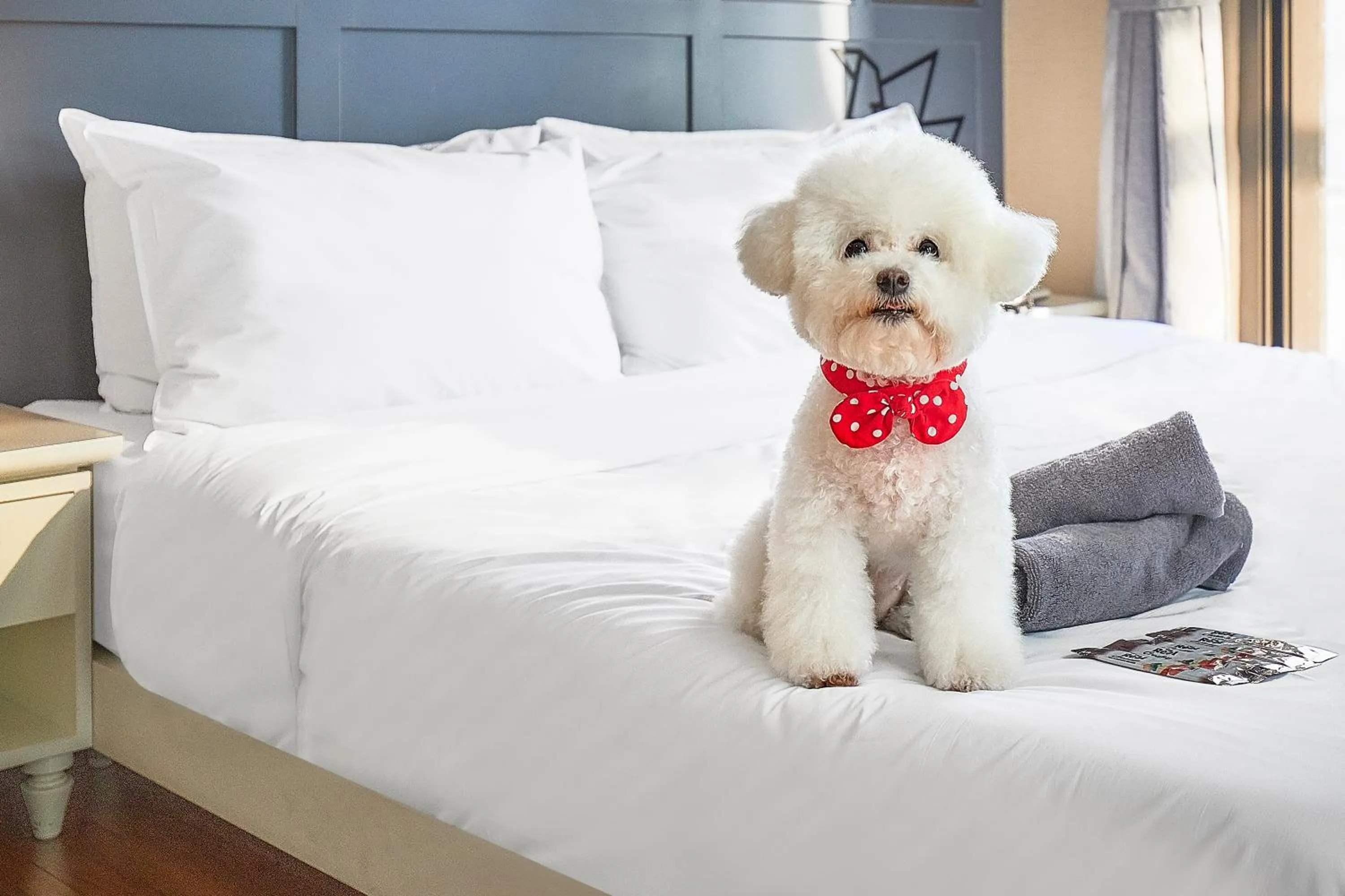 Photo of the whole room, Bed in Hotel POCO Seongsu