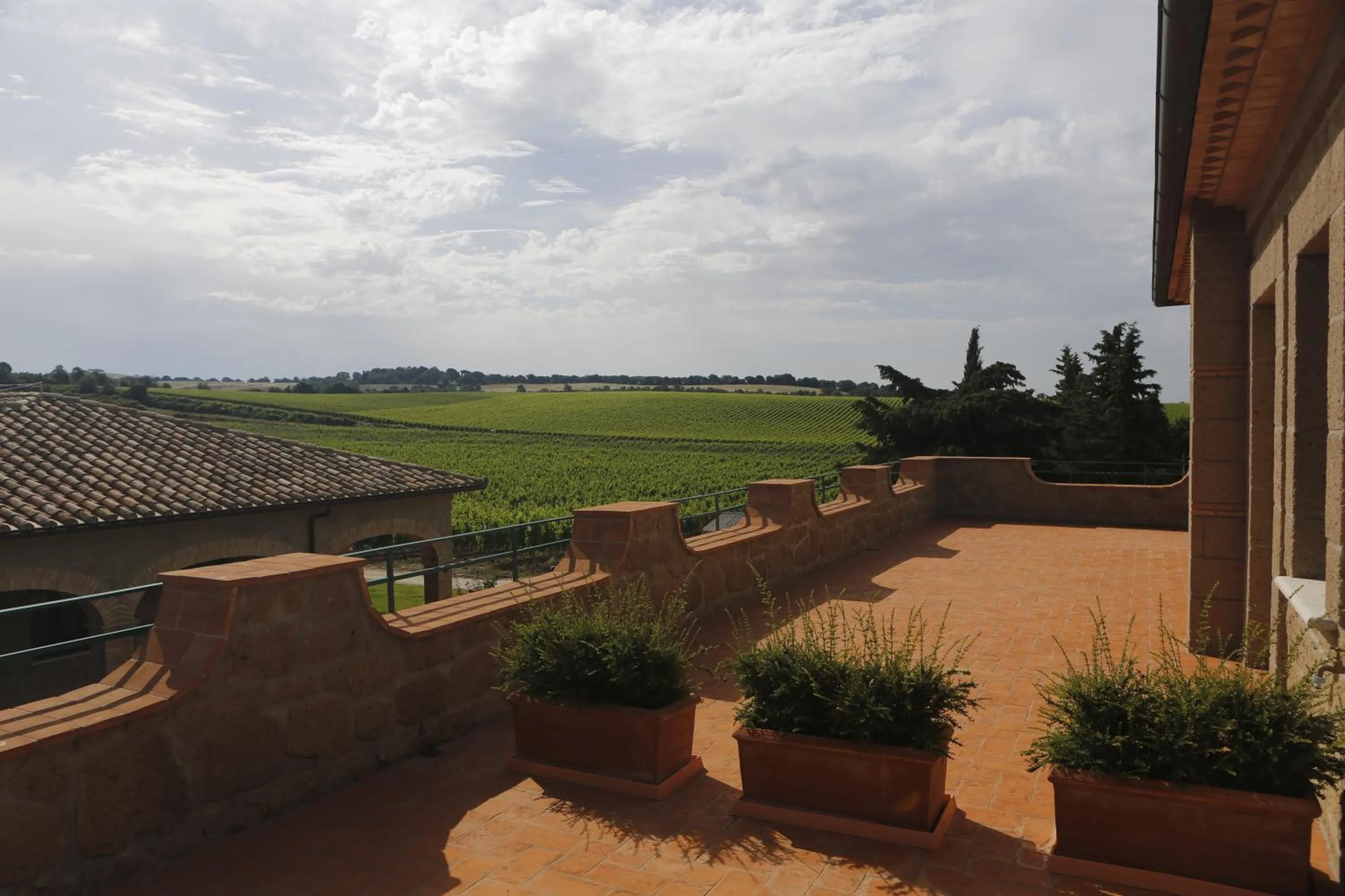 Balcony/Terrace in Agriturismo Poggio Al Tufo