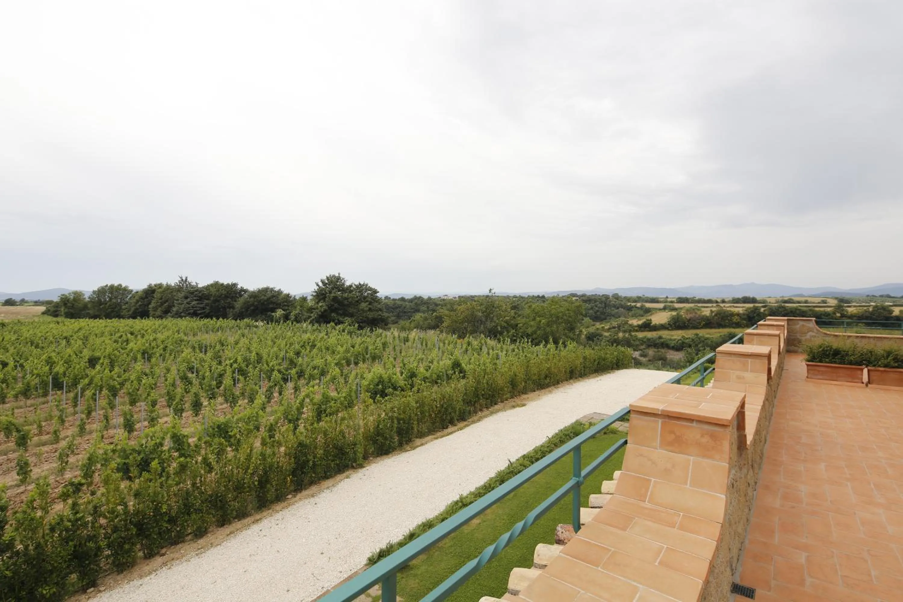 View (from property/room) in Agriturismo Poggio Al Tufo