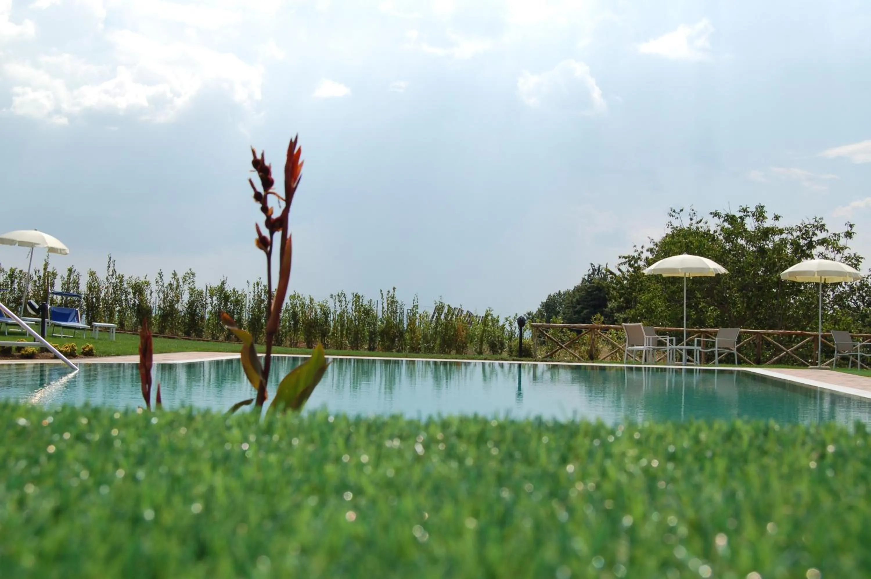  in Agriturismo Poggio Al Tufo