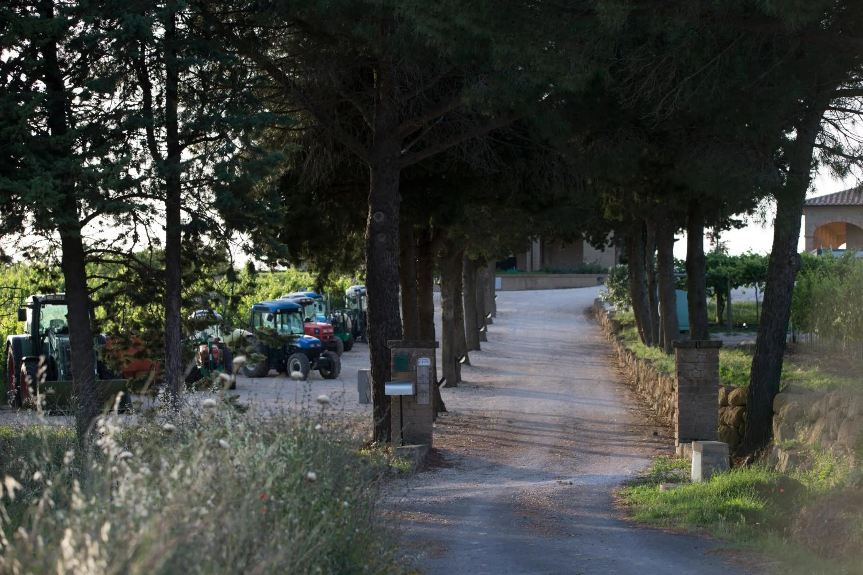 View (from property/room) in Agriturismo Poggio Al Tufo