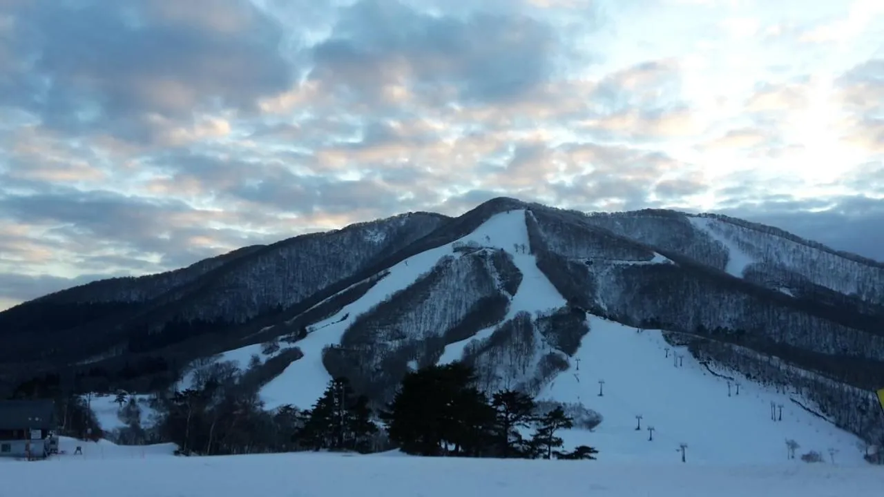 Skiing in Japan Snowsports