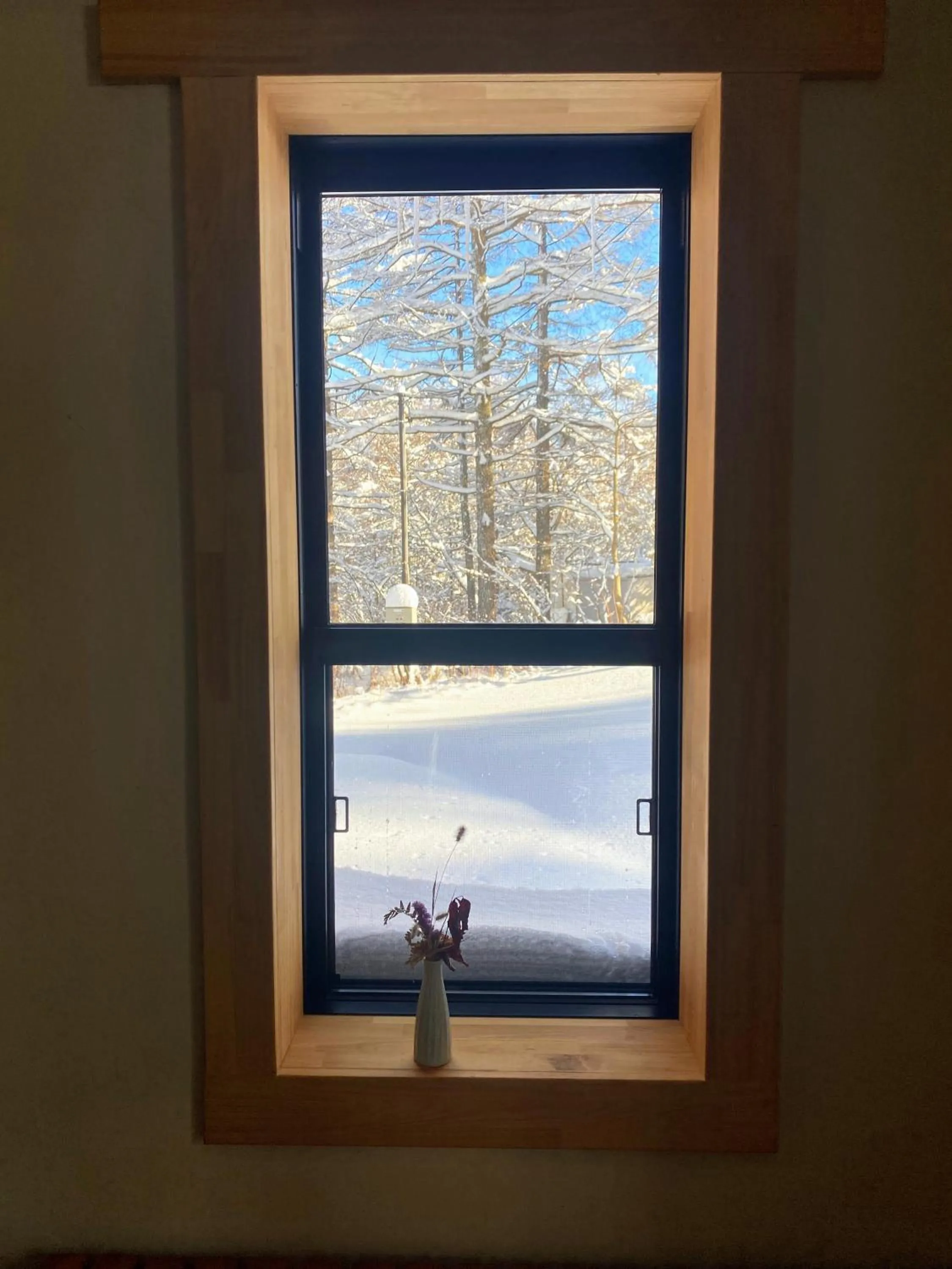 Winter in Japan Snowsports