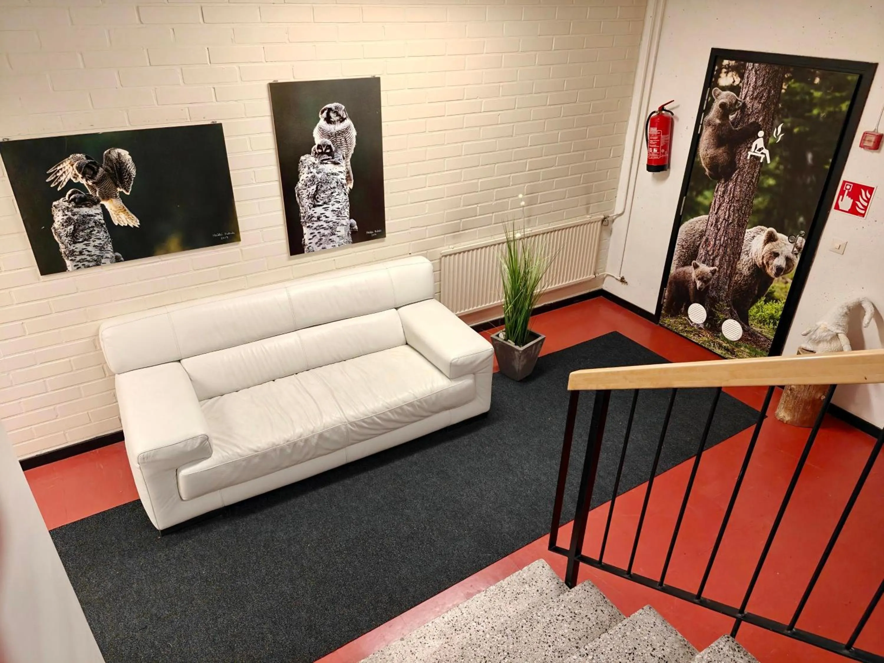 Goiglo Hotel & Hostel