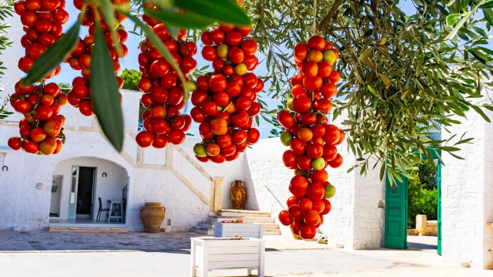 Other in Masseria Ayroldi