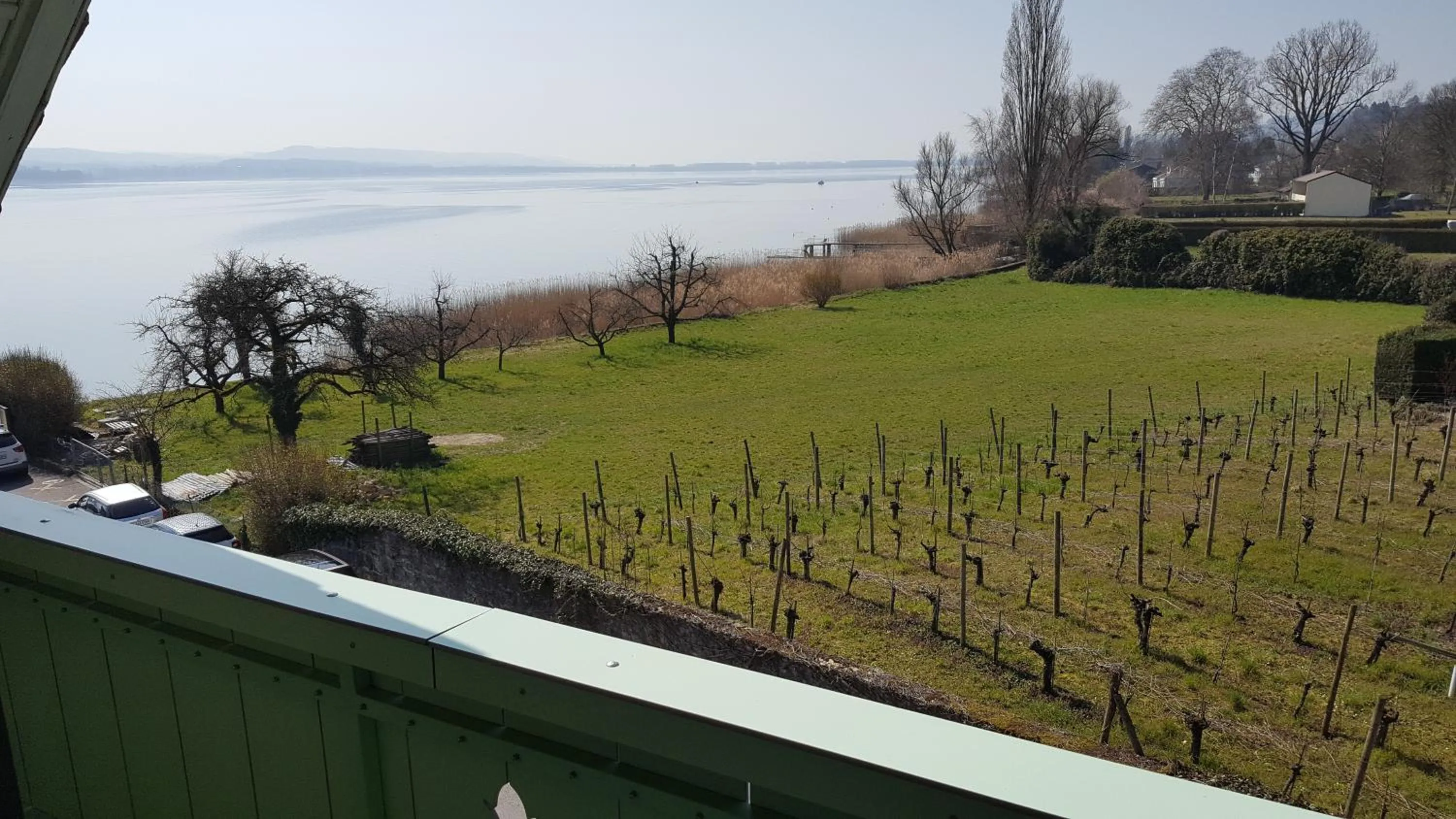 Lake view in Hôtel Restaurant Cave Bel-Air