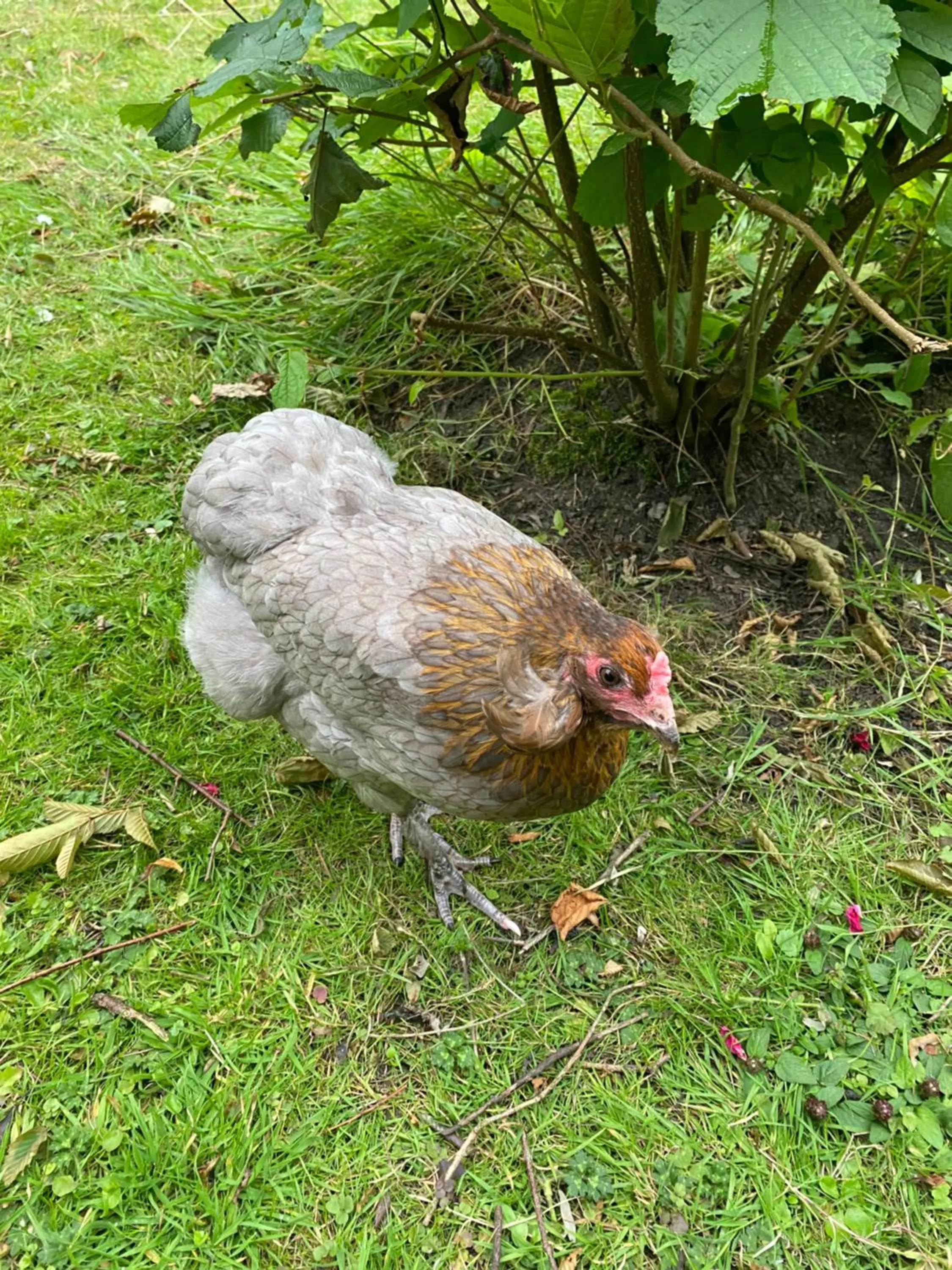Le Clos de l’Ermitage