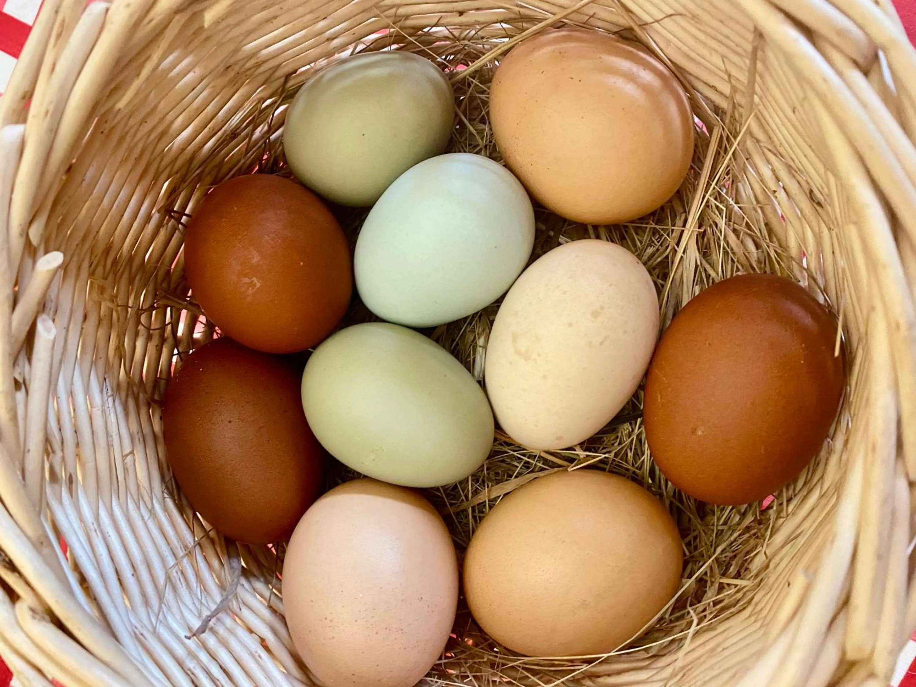 Le Clos de l’Ermitage