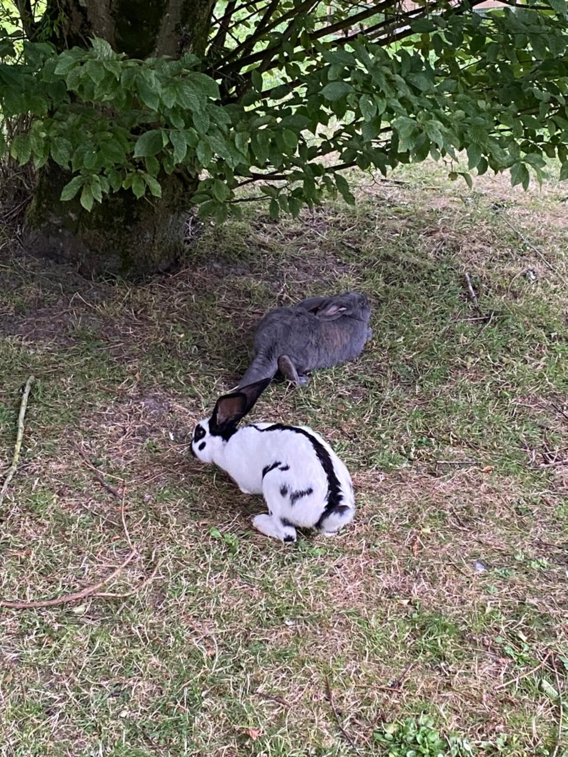 Le Clos de l’Ermitage