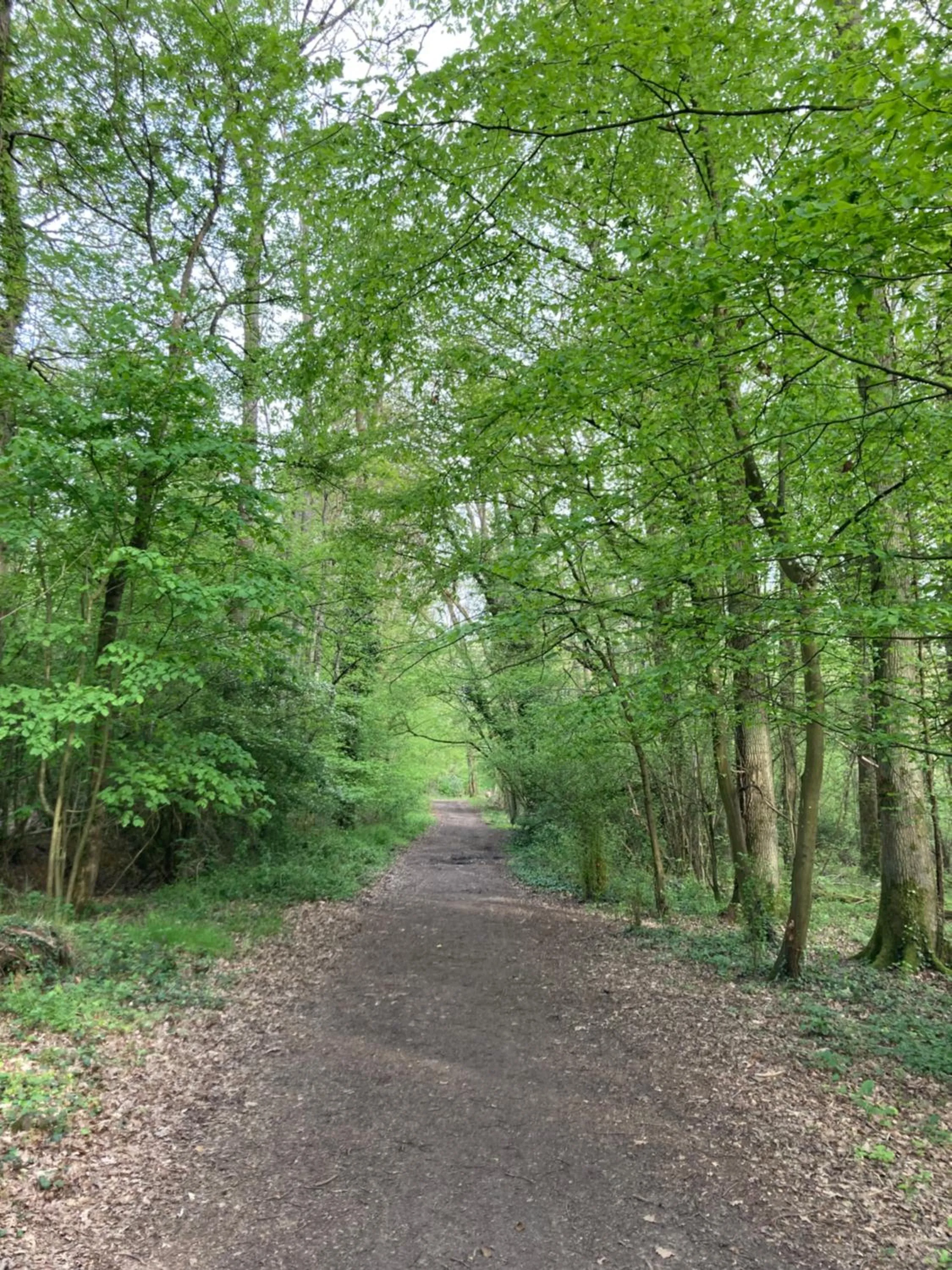 Natural landscape in Maison Chevreuse, chambre chez l'habitant
