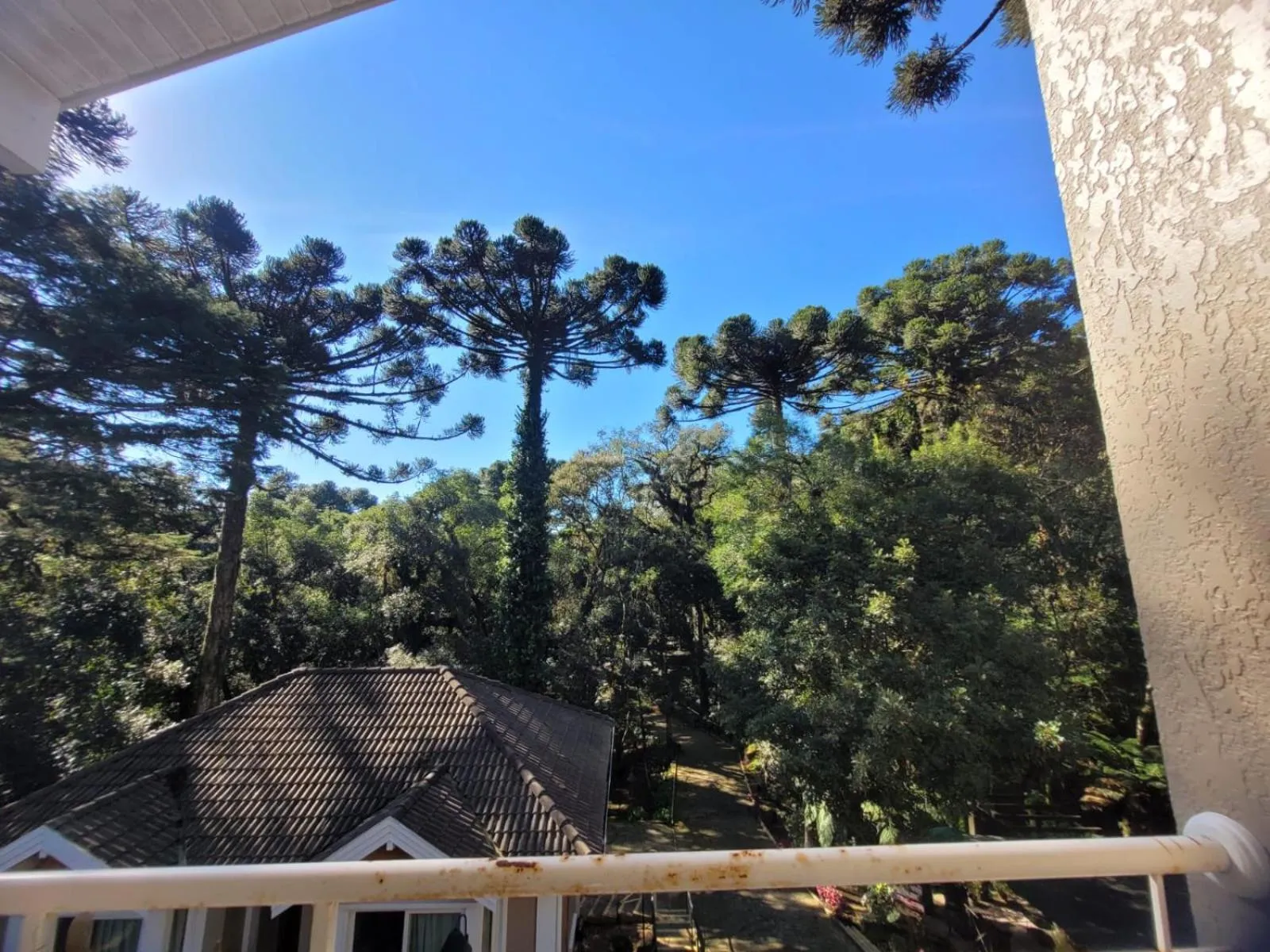 Hotel Cozumel Sierra