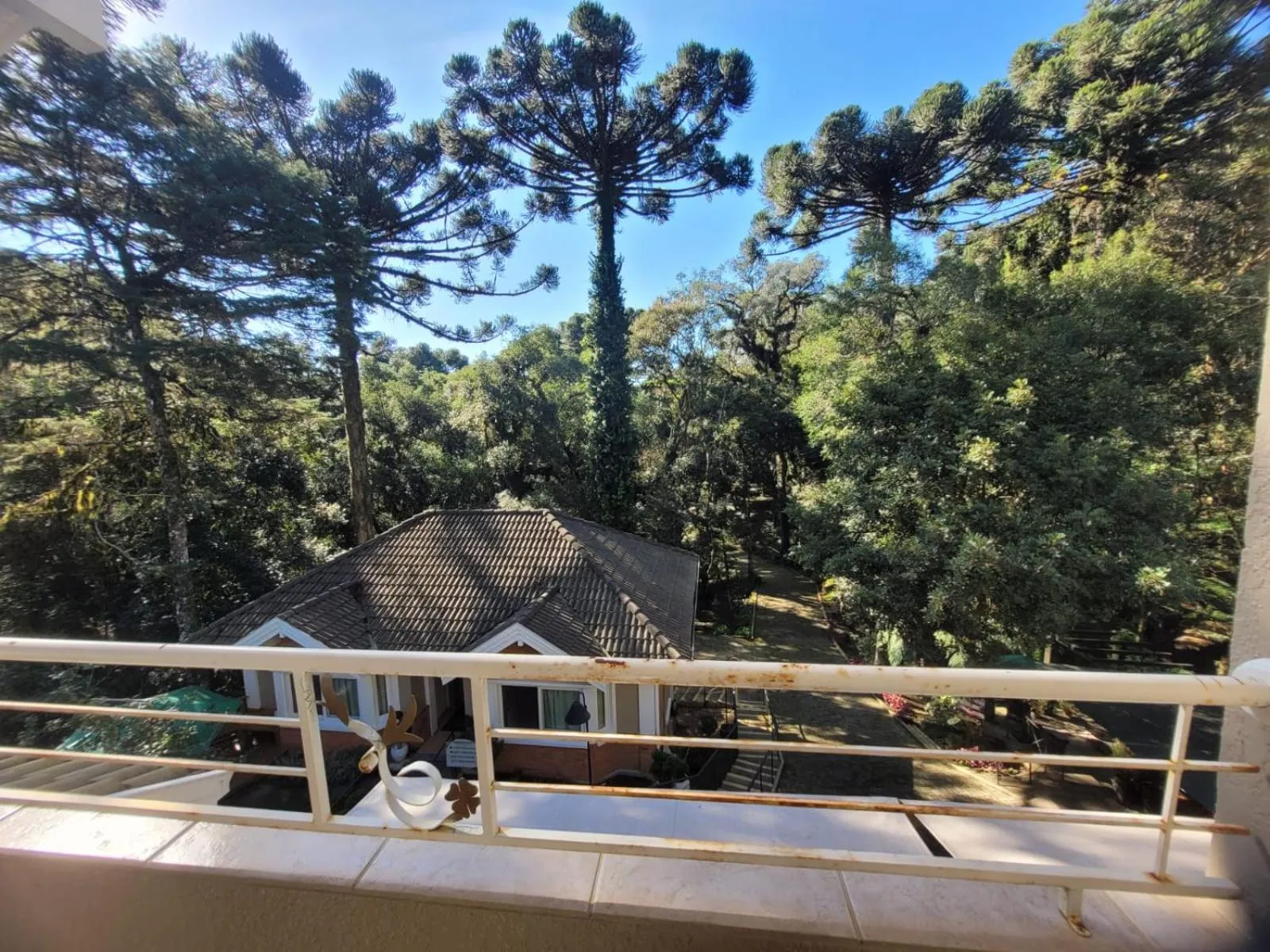 Hotel Cozumel Sierra