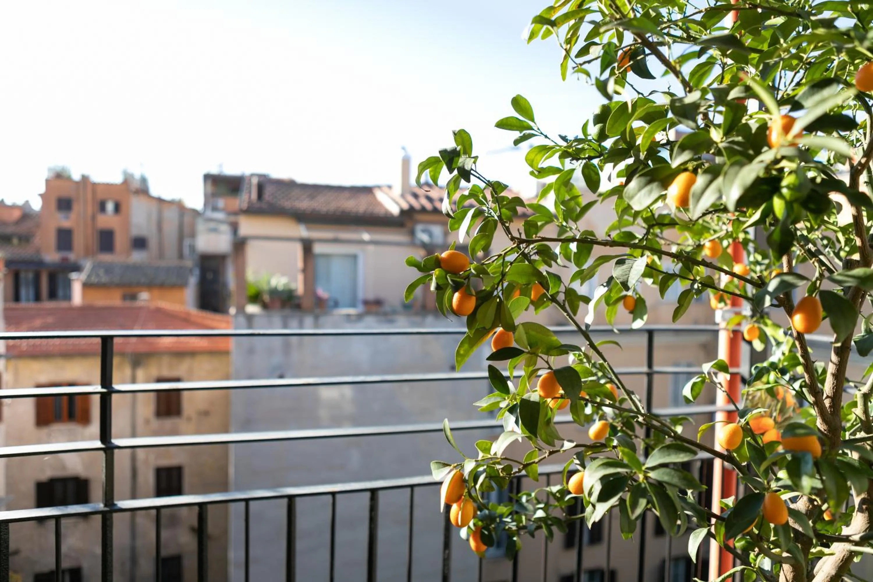 Balcony/Terrace in Incentrum