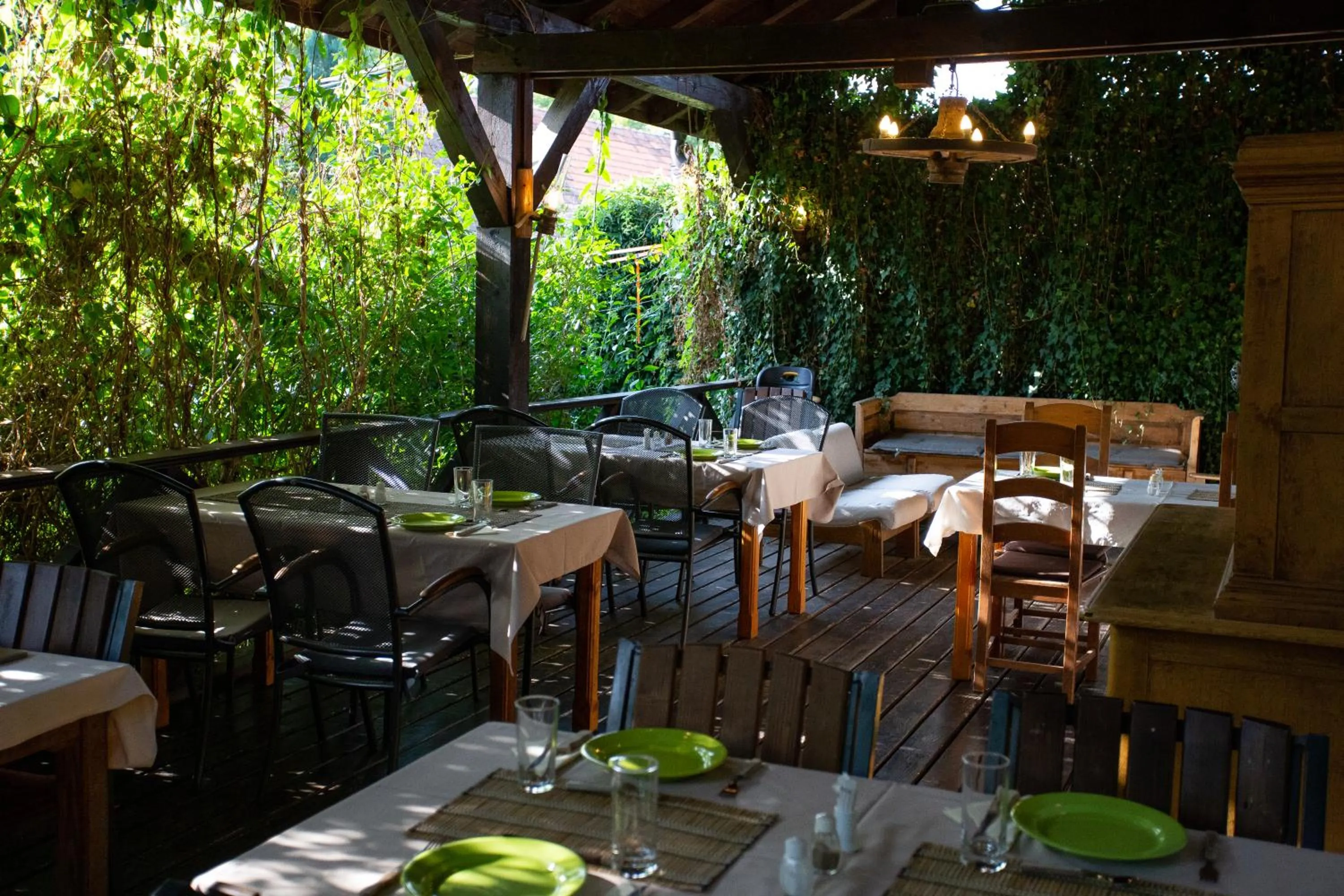 Garden in Casa Mosului - Transfăgărășan Bed & Breakfast